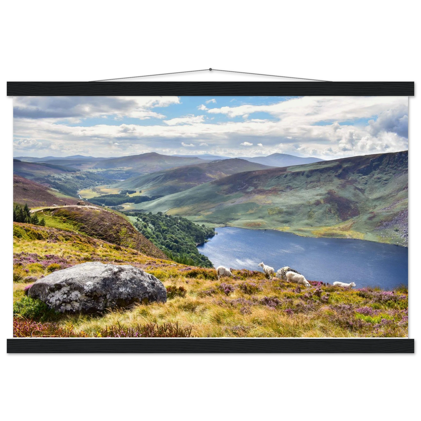 00b9d028-d496-48f9-b221-8ce9c3c386fd