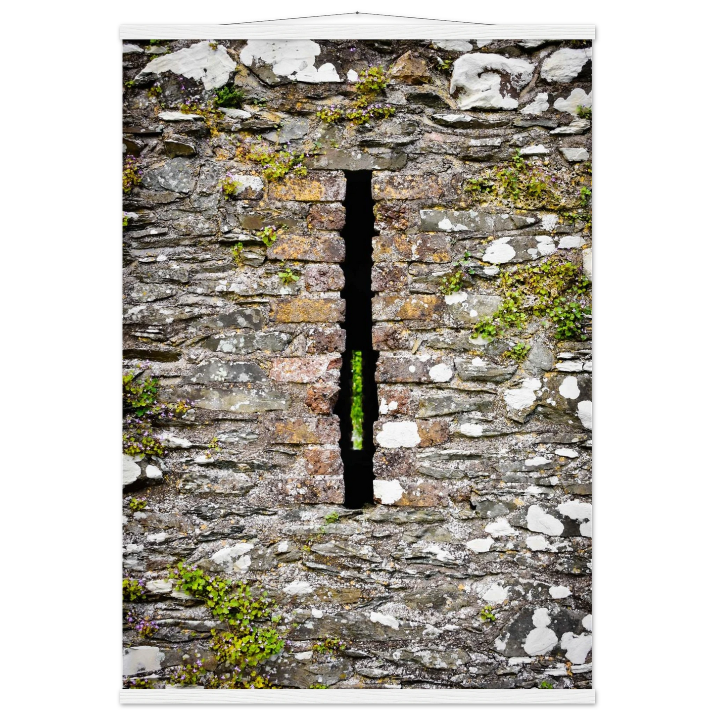 00cb24f7-e8e8-4f3a-8fa6-db737df3b6f7