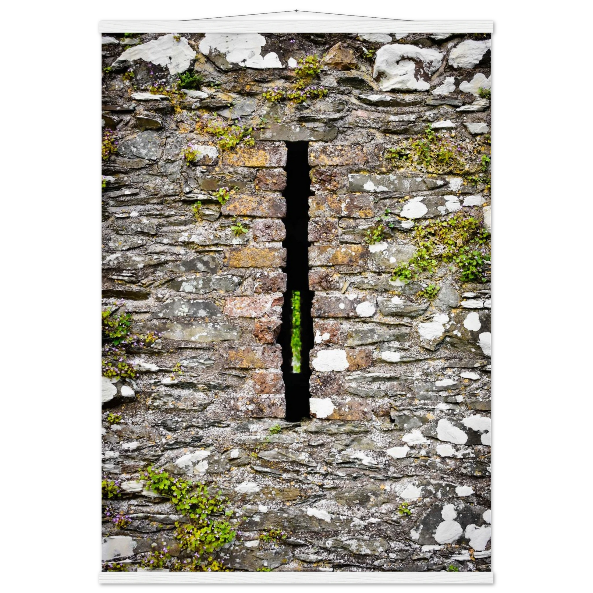 00cb24f7-e8e8-4f3a-8fa6-db737df3b6f7