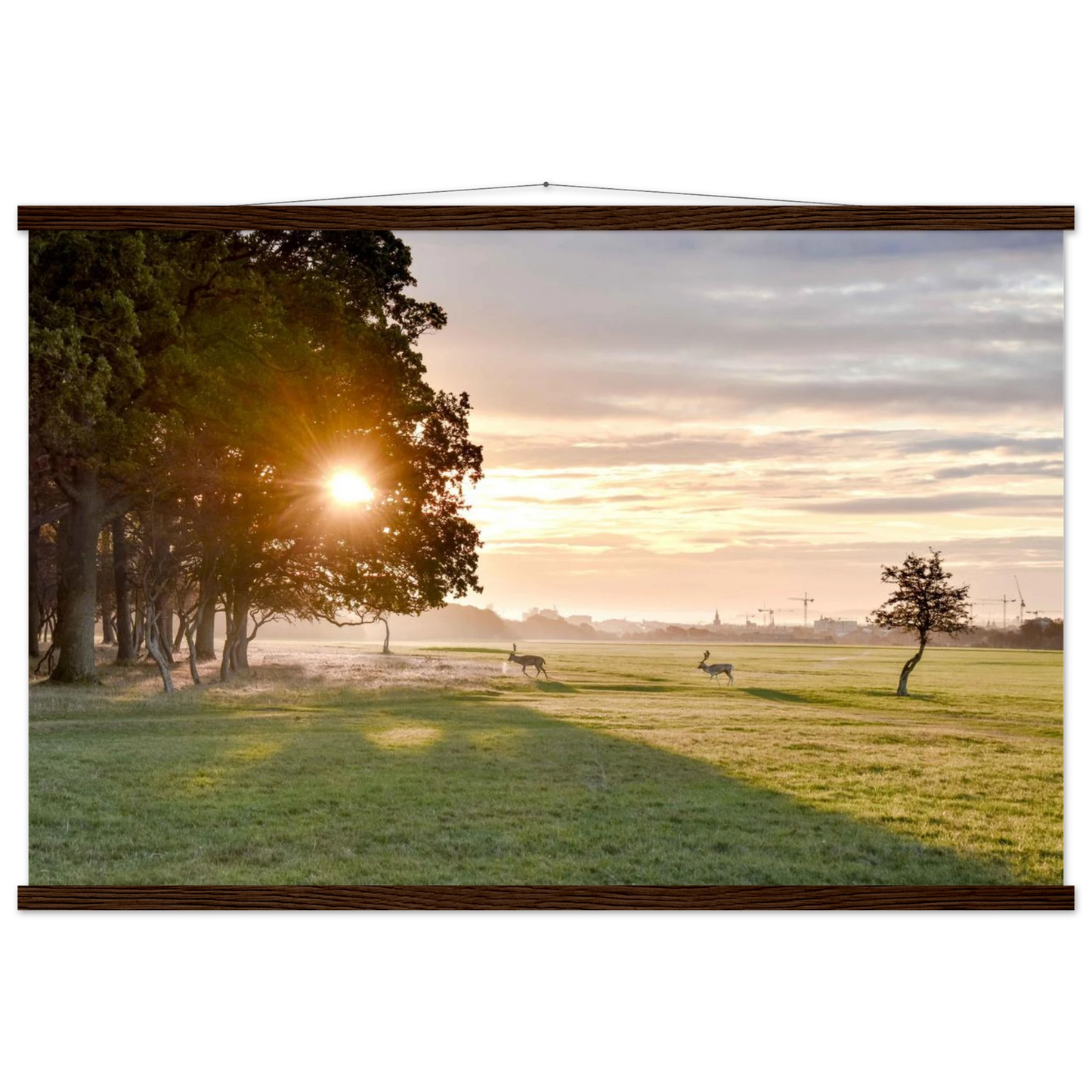 0118bb68-9913-4830-b5b4-8a2bc6fc821f