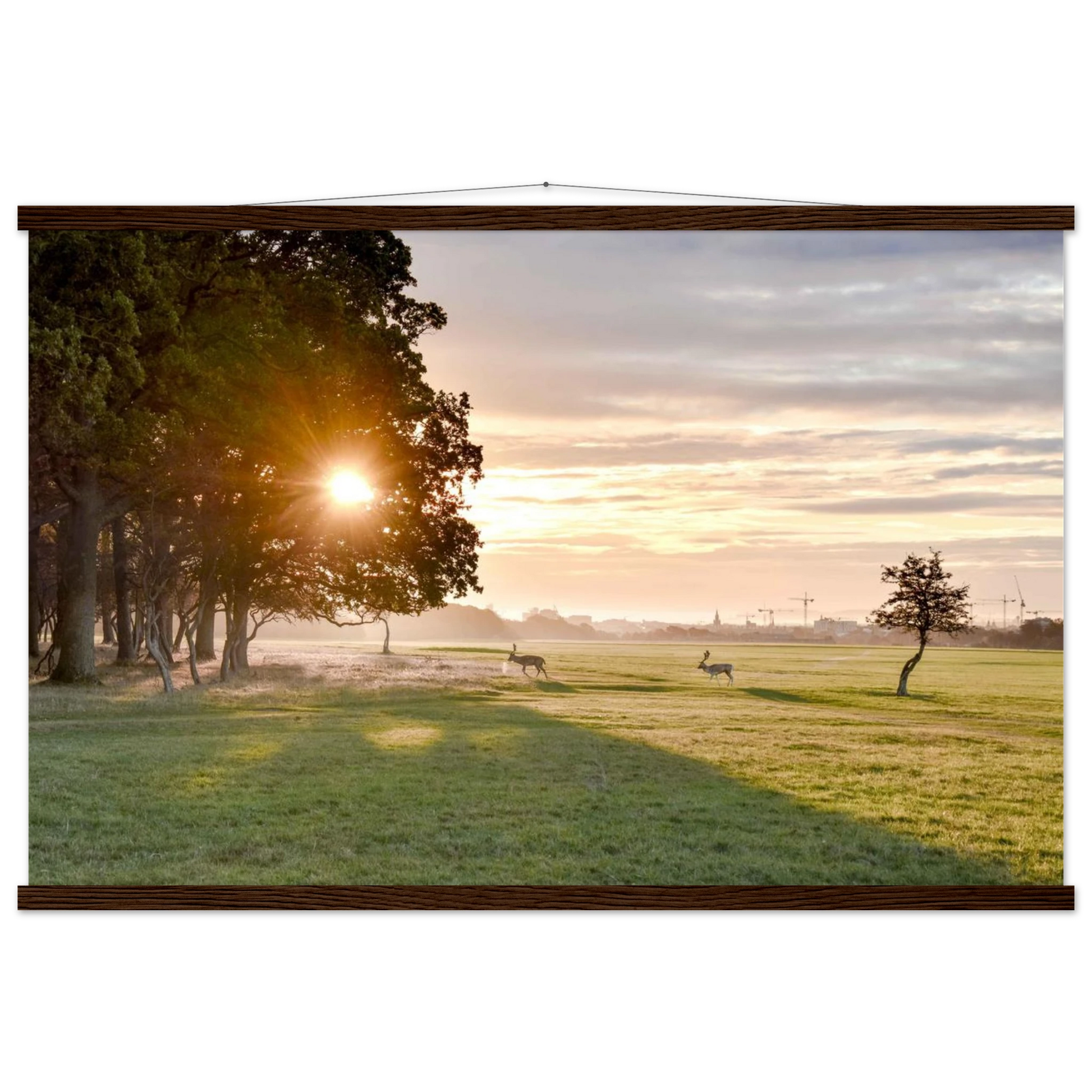 0118bb68-9913-4830-b5b4-8a2bc6fc821f