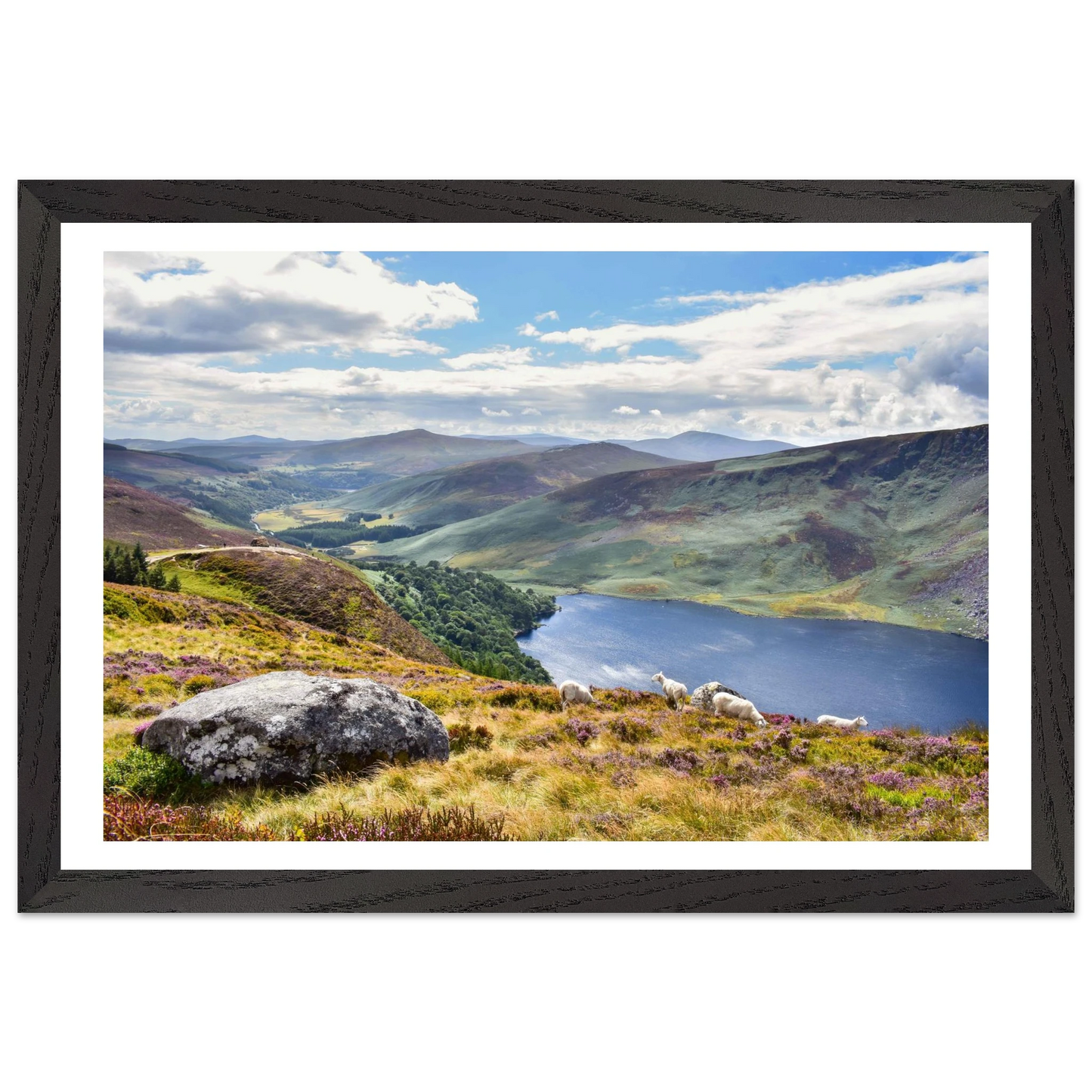 0145fc57-97de-46e0-a320-66efe0015a97