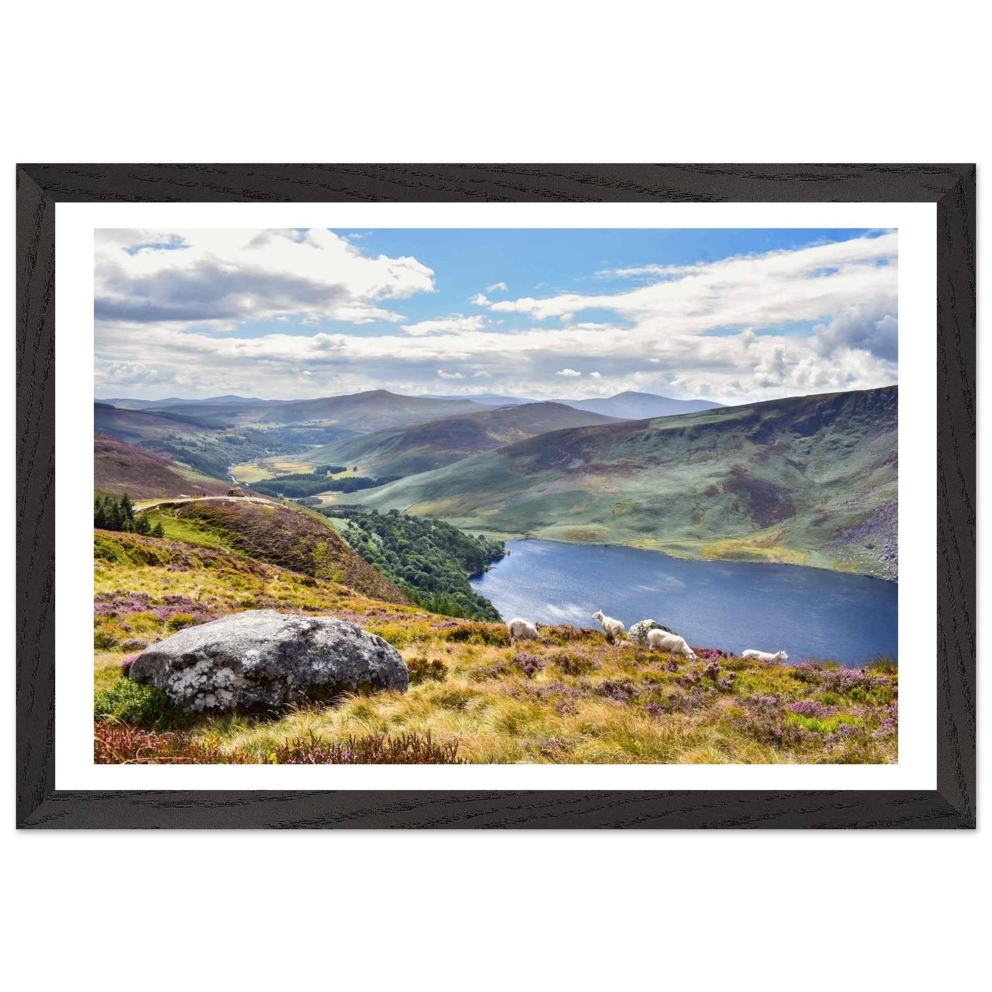 0145fc57-97de-46e0-a320-66efe0015a97