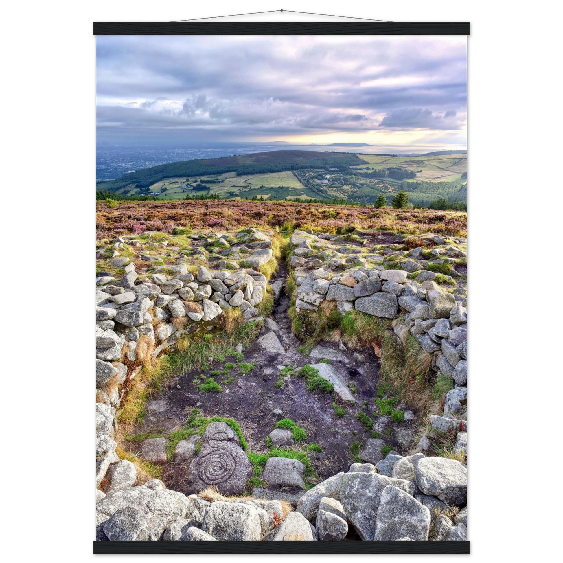 0186867e-d346-4f14-840d-3fd92f4c5b10