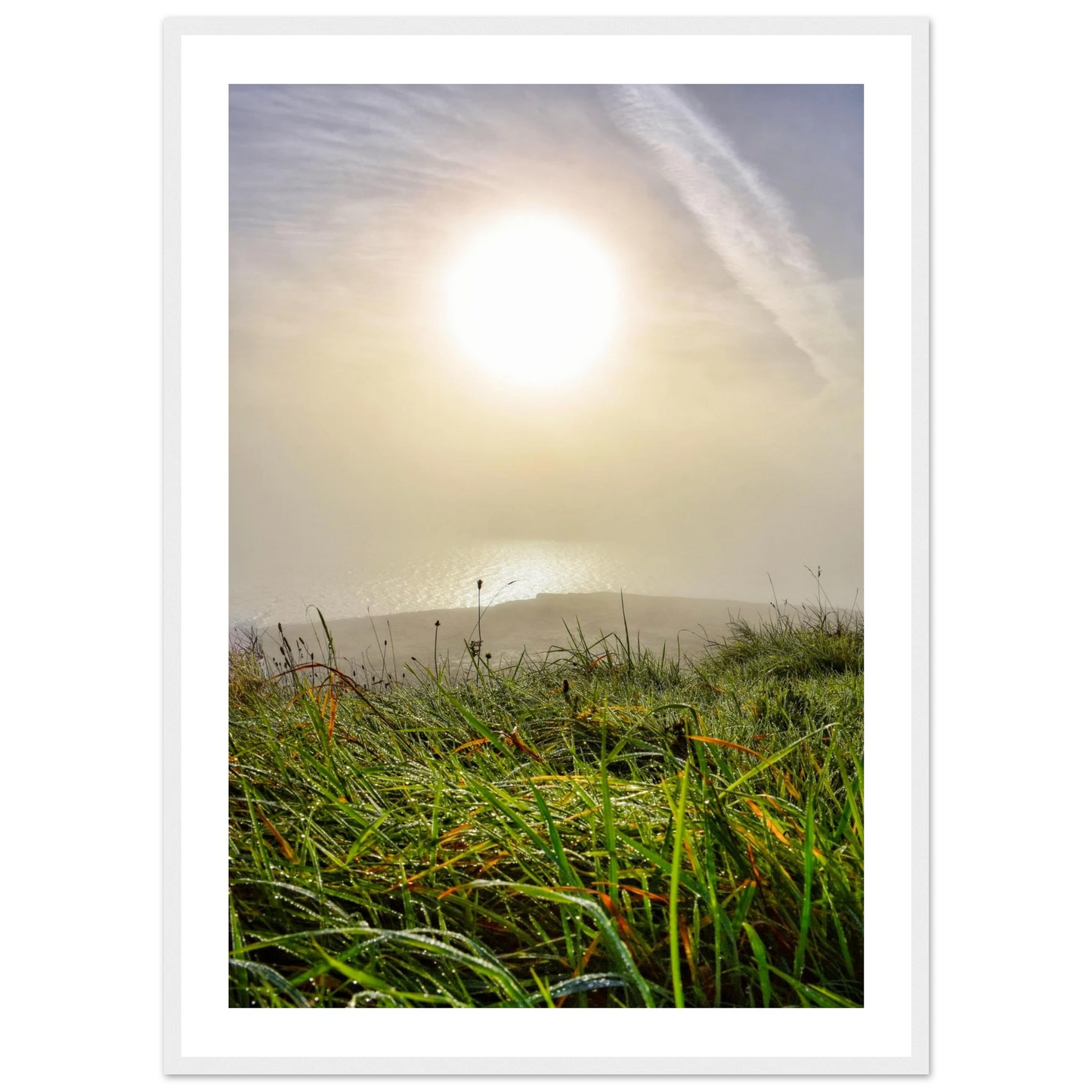 019809f2-5d17-46ae-80f9-b4420d910150