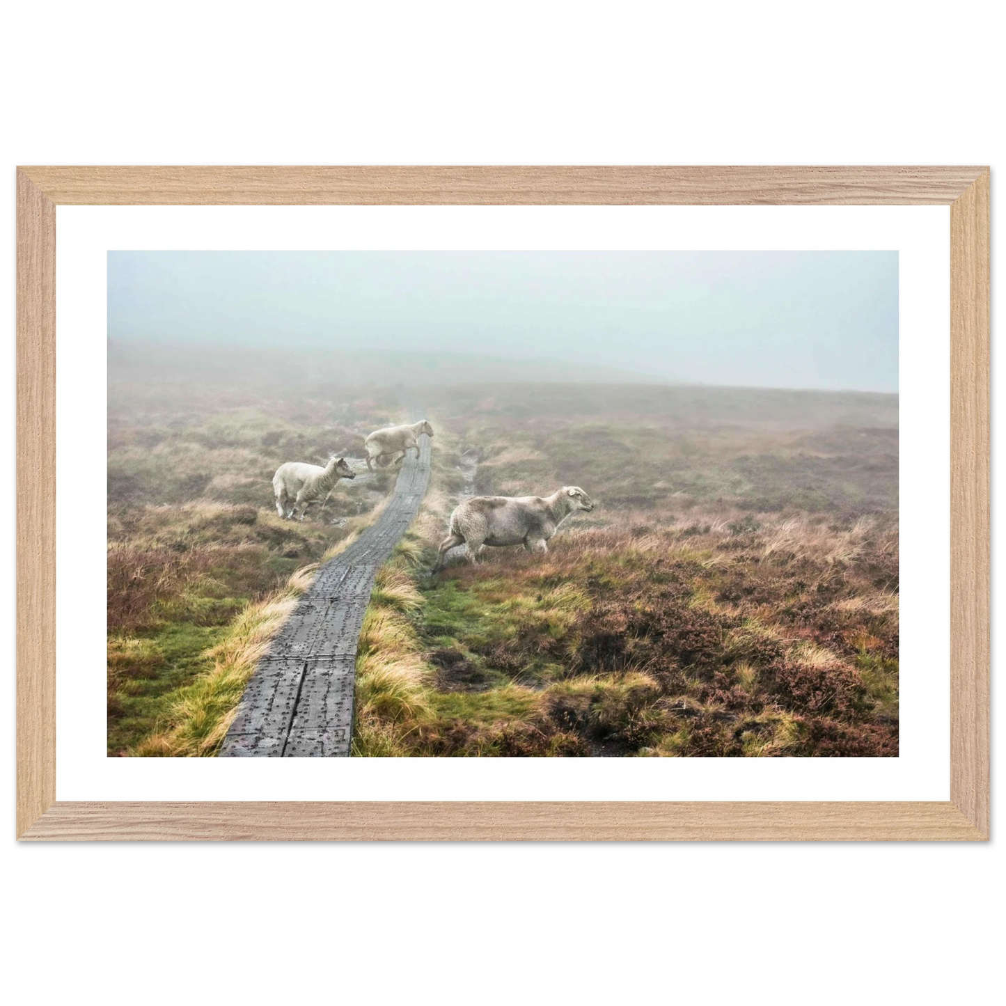 02635907-6331-4093-af10-e4eb9841af5c