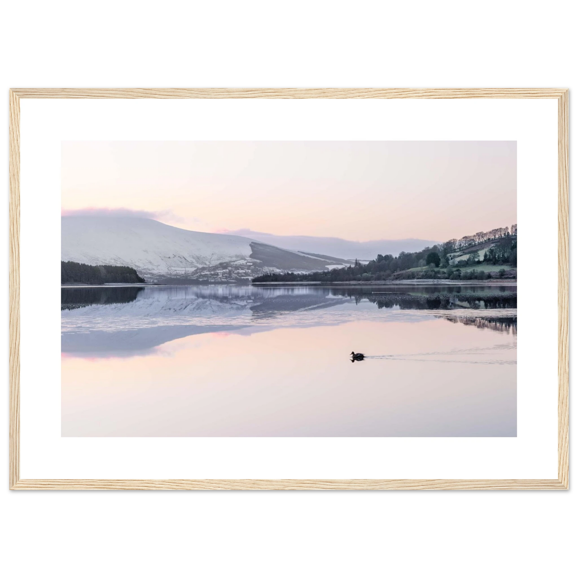 02690d47-2050-49cb-ba73-c947e64d6972