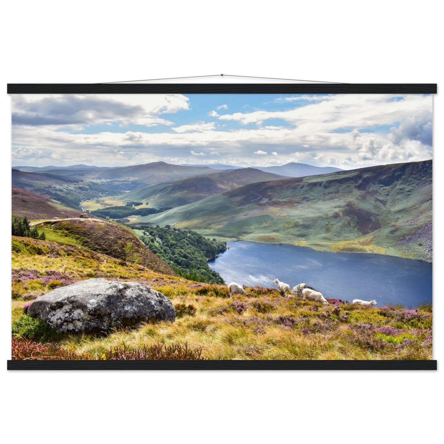 027882ad-2745-4e6f-99a7-71d1459af6e8