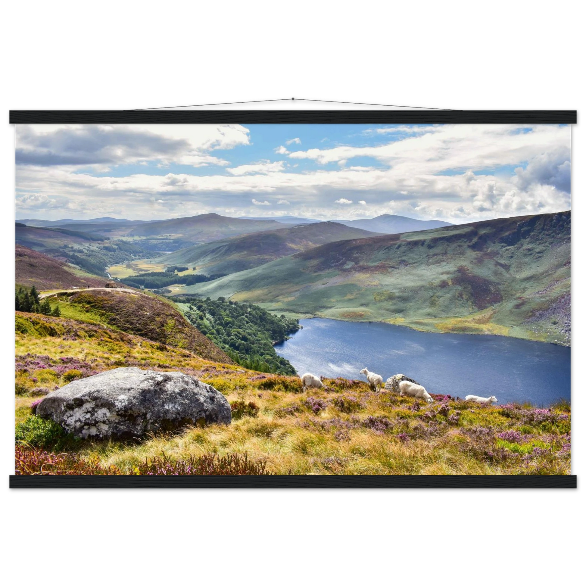 027882ad-2745-4e6f-99a7-71d1459af6e8