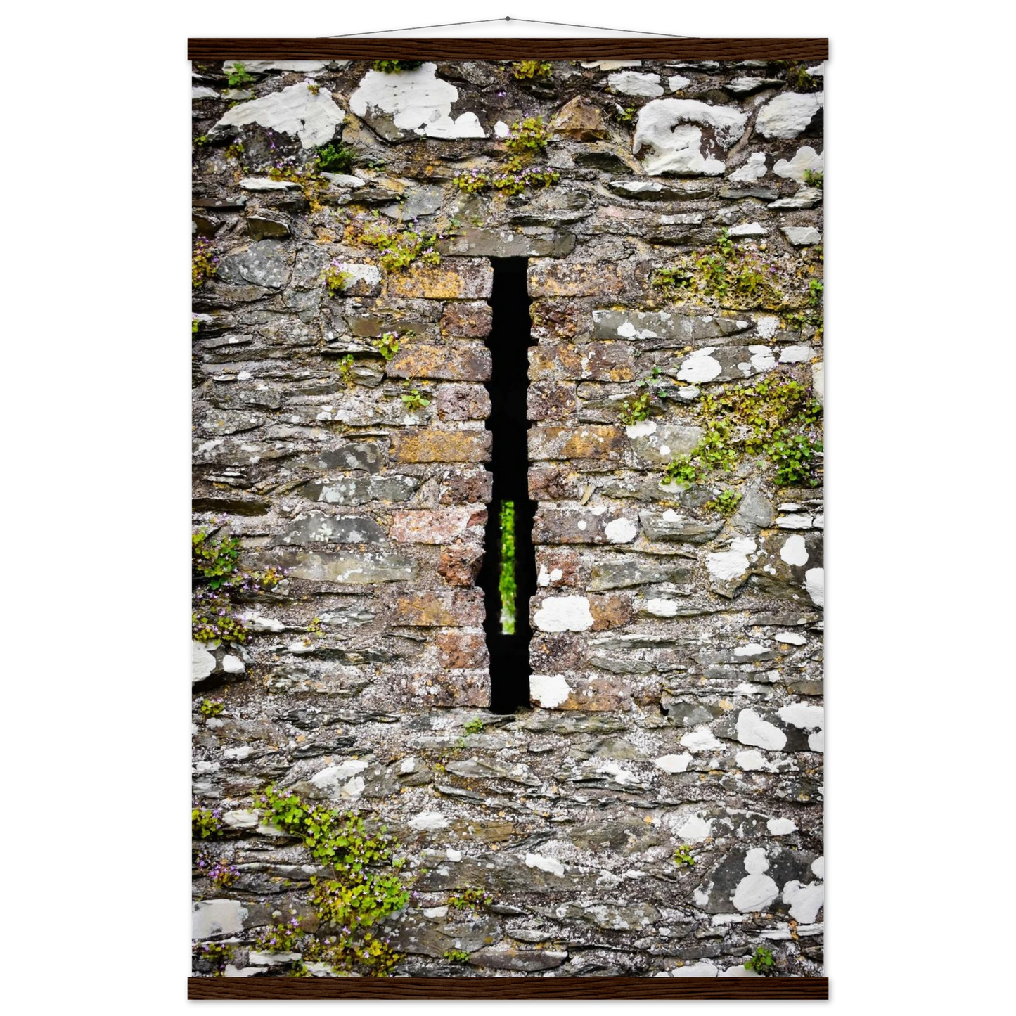 027c5690-f0cb-48c1-9c53-f9fec0c28417