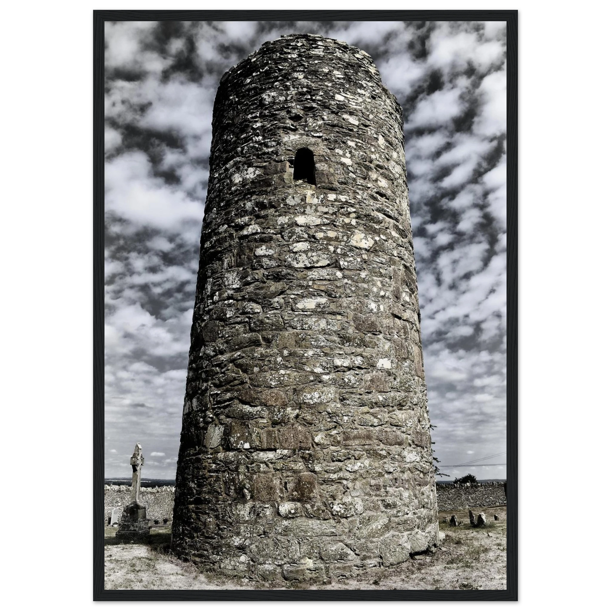 02c6468e-b35a-42b9-81c6-b631bd27ea24