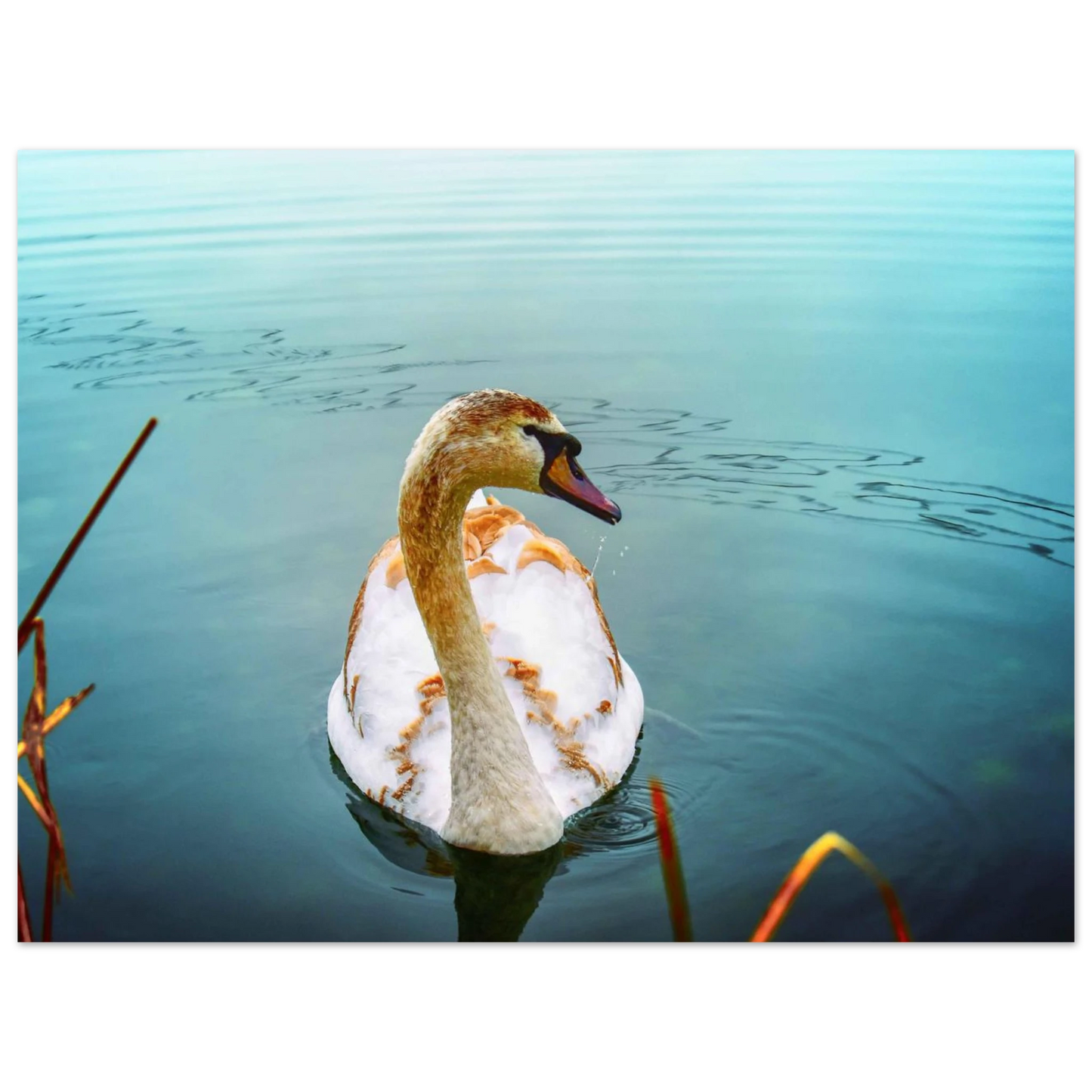 03050670-293b-4413-afb9-cbb38bdcb910