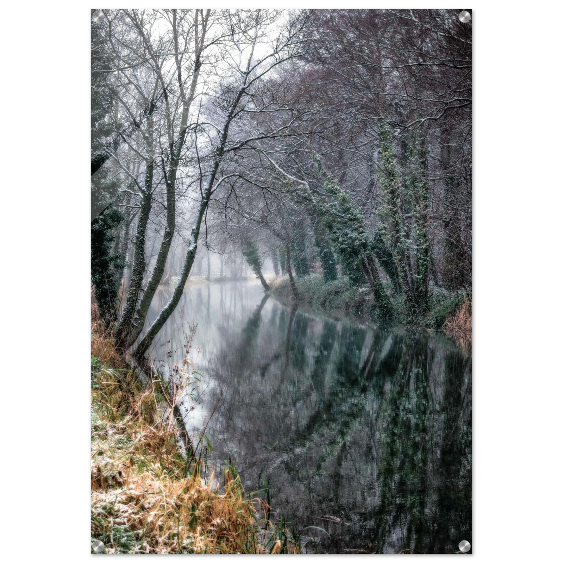 03310b56-c927-4d91-9936-b7ac4c7c558f