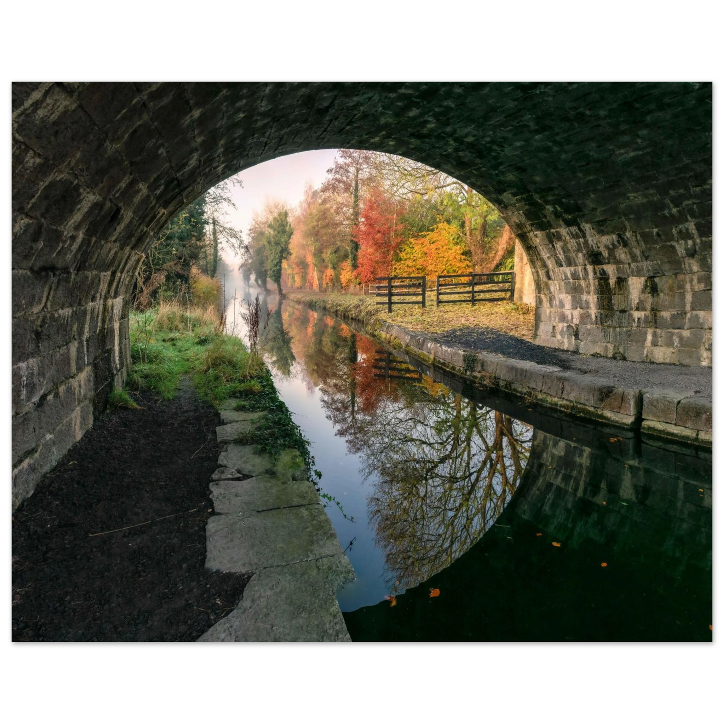 03e3d7b9-4e8f-4662-a2a4-9fd8176dc0a0