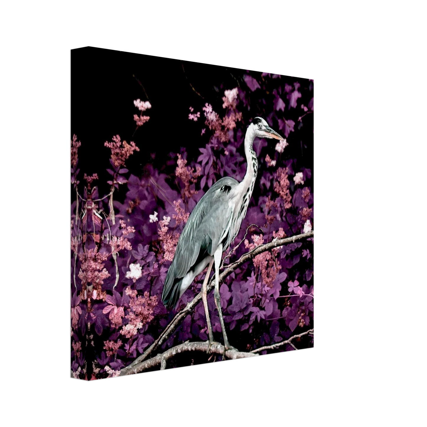 03f7ec81-fa05-4e17-ad72-b23407168036