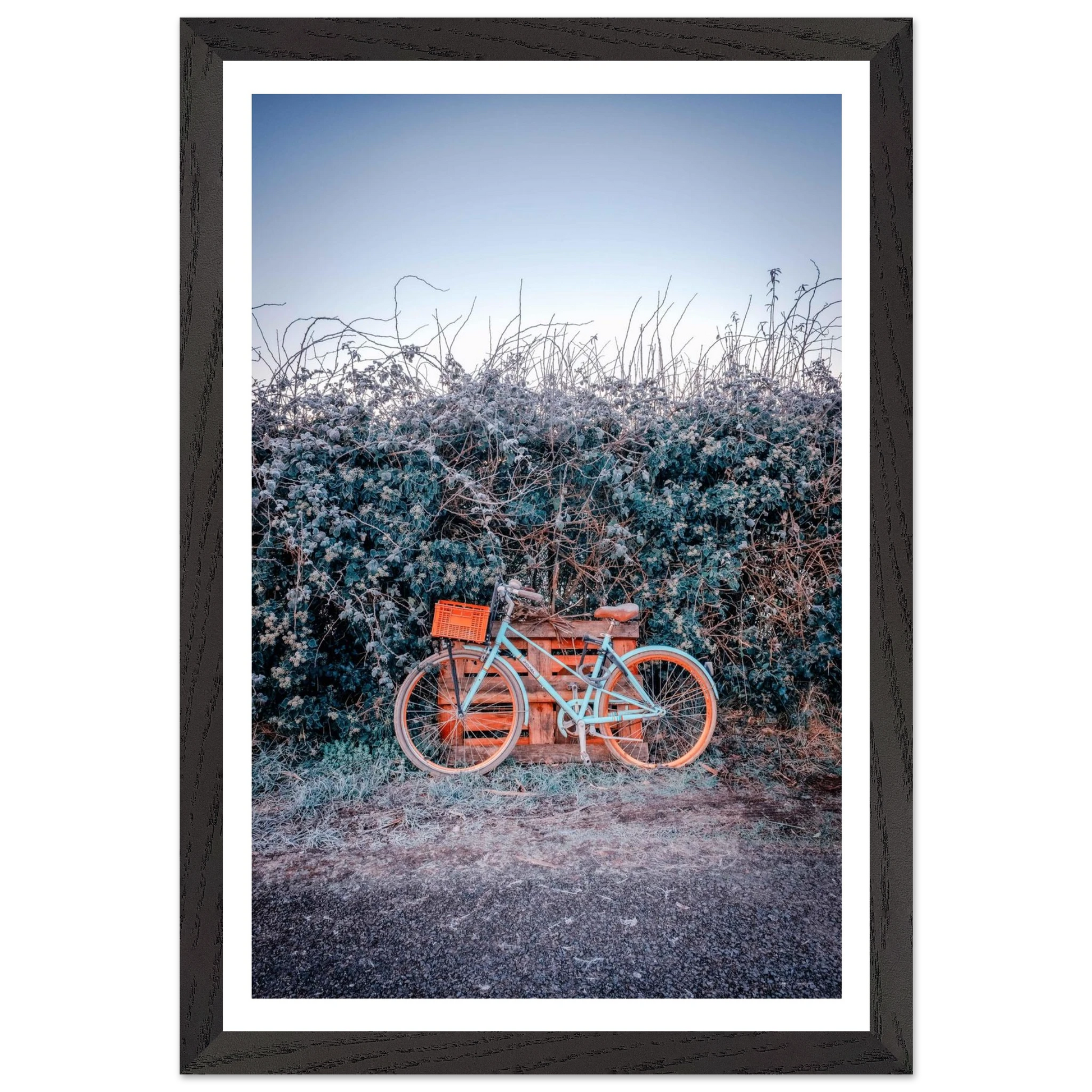 053951f1-2bda-498c-bb2e-9fa806381535