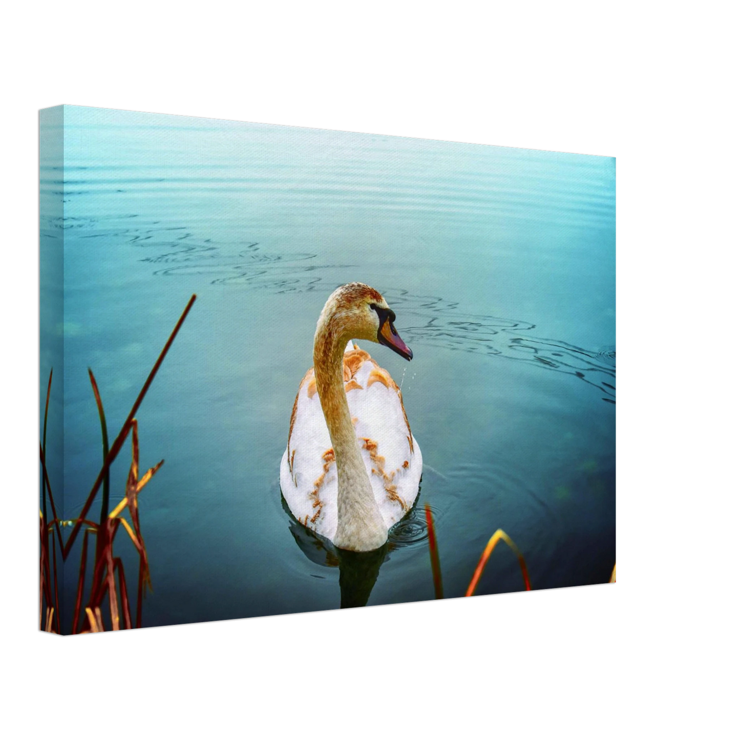 05d34050-7d3f-4c77-b063-bbbdade698de