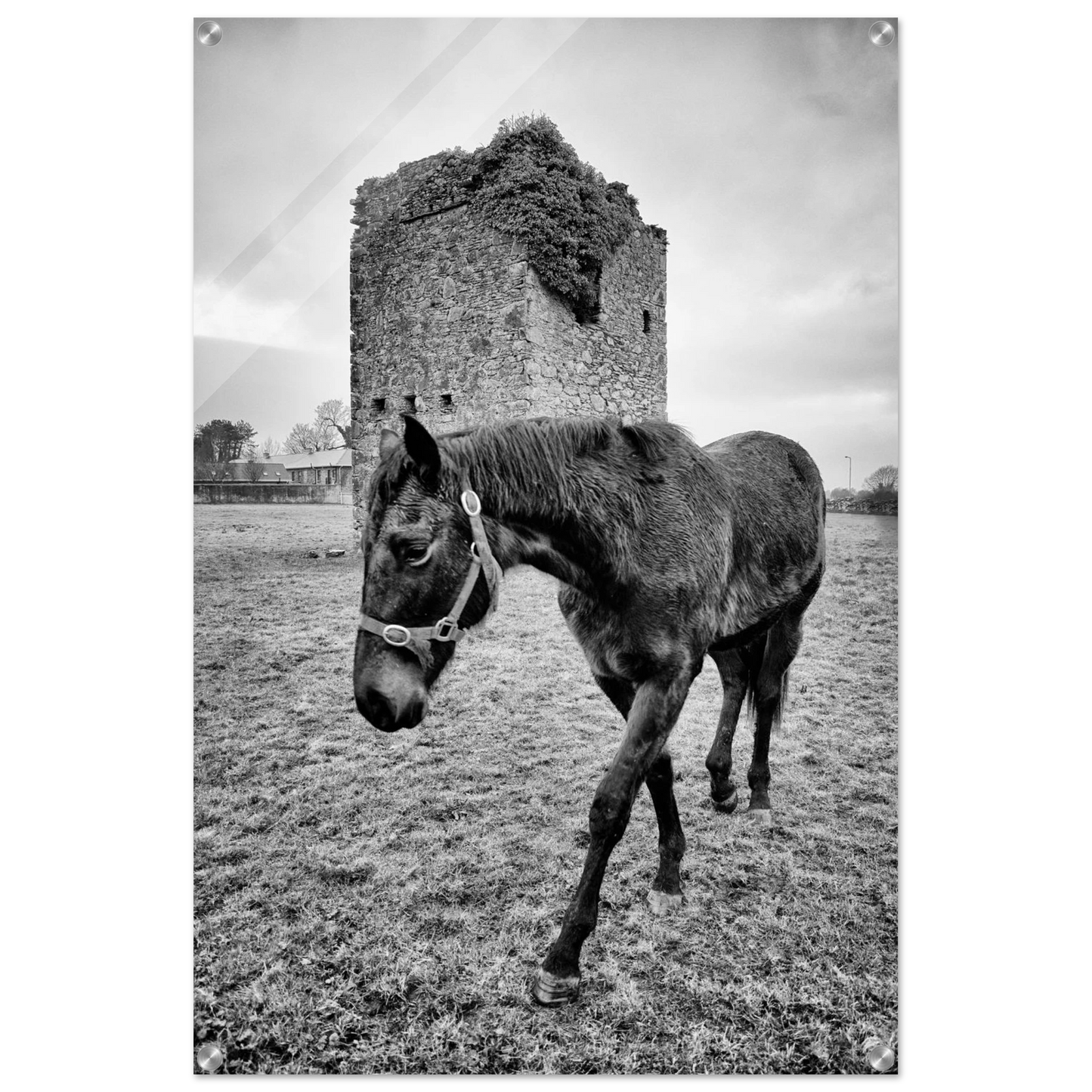 063d1bb7-d2d2-4cb7-907b-d897f3ed4609