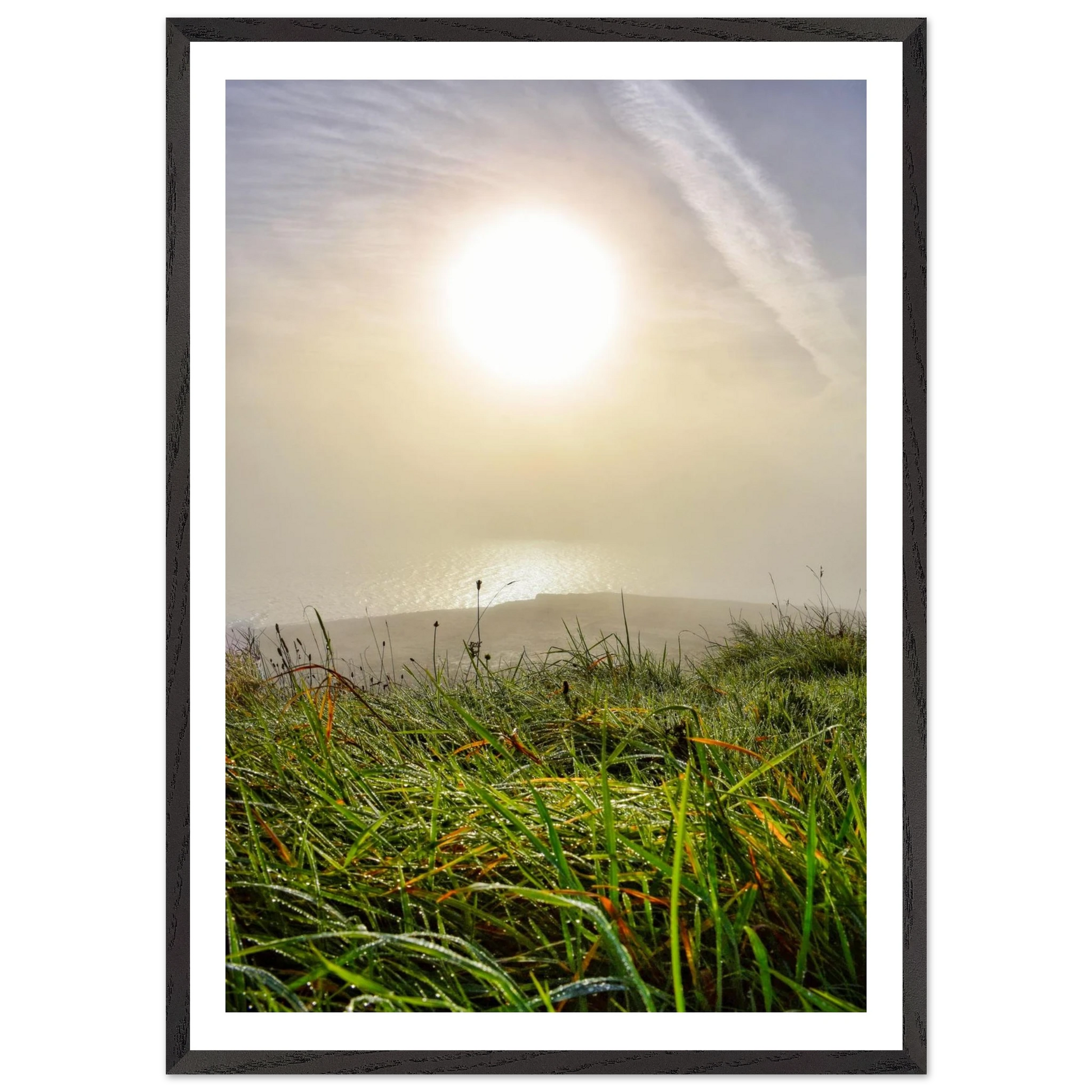 06ef0c99-bfdc-4e78-b5e1-a13809ac398b