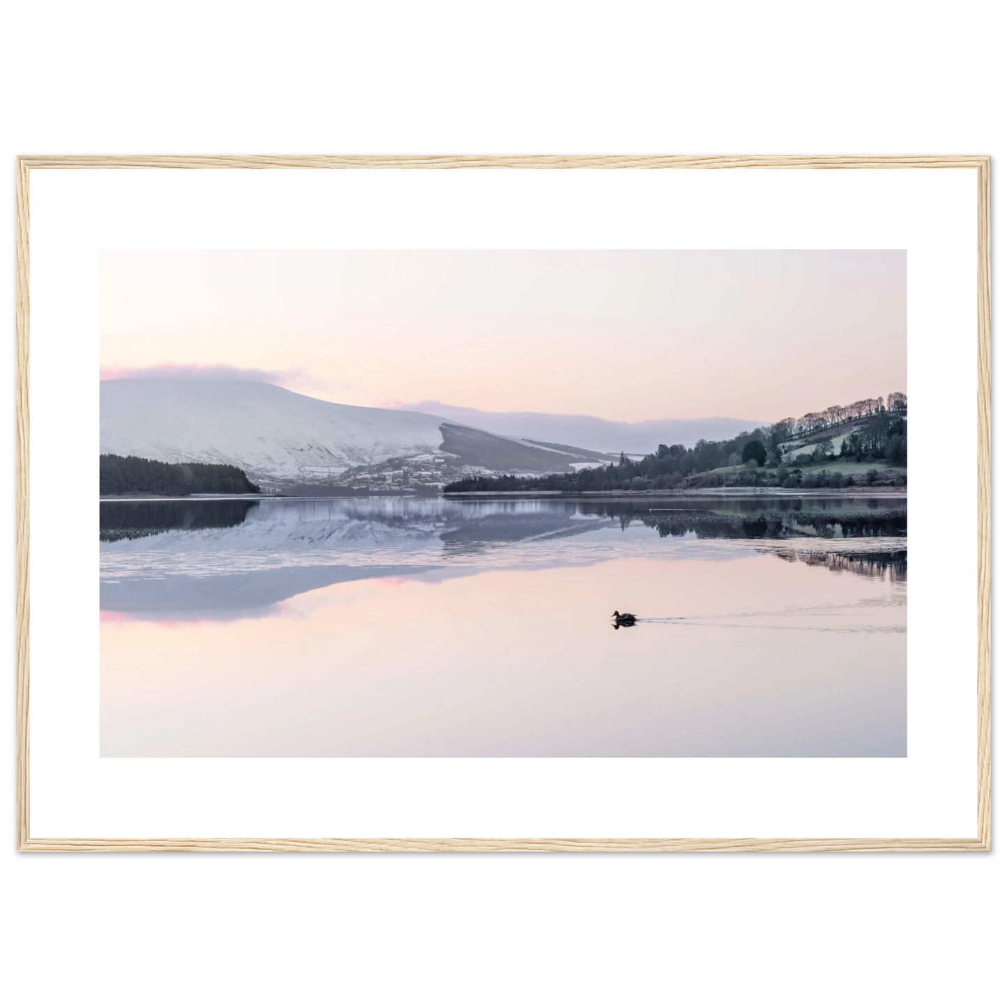 06f86095-65d8-4f2e-b4c6-8990a91c8ca7