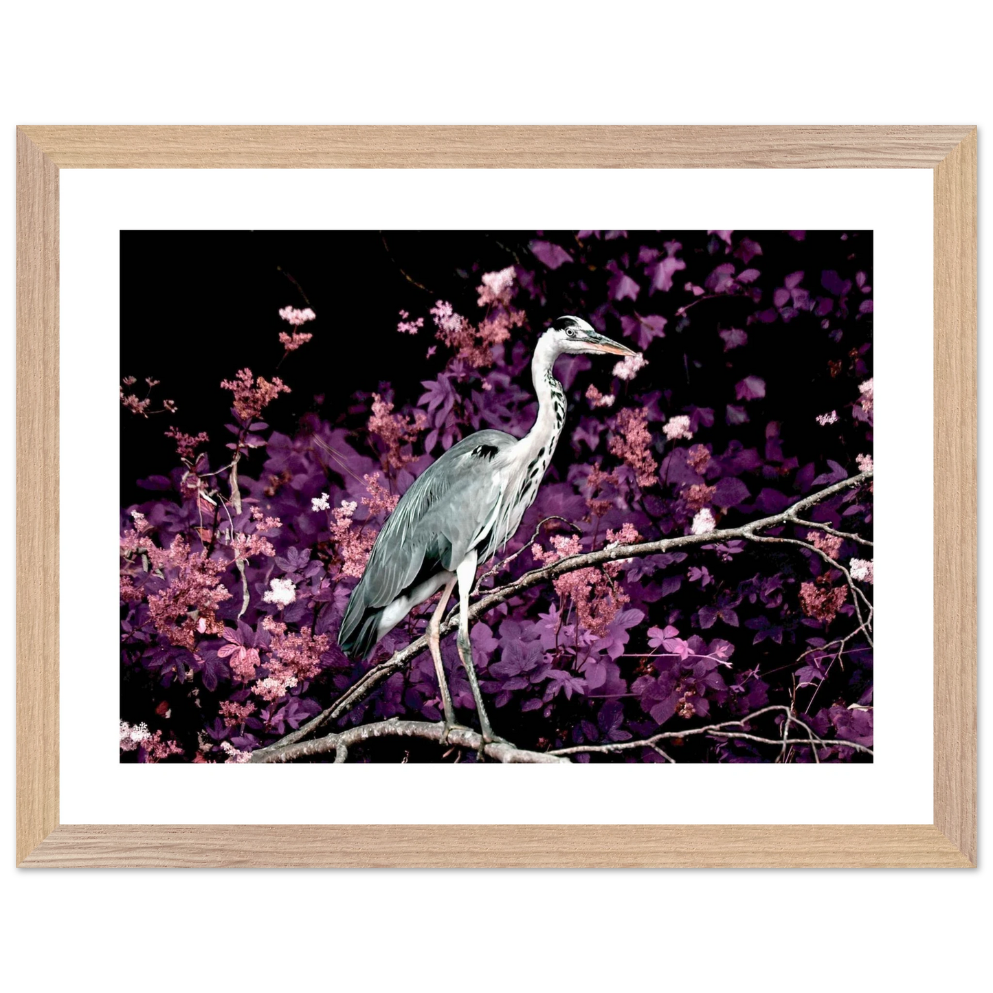 0789133e-abcb-4a60-b9d4-eb496dfa9e0c