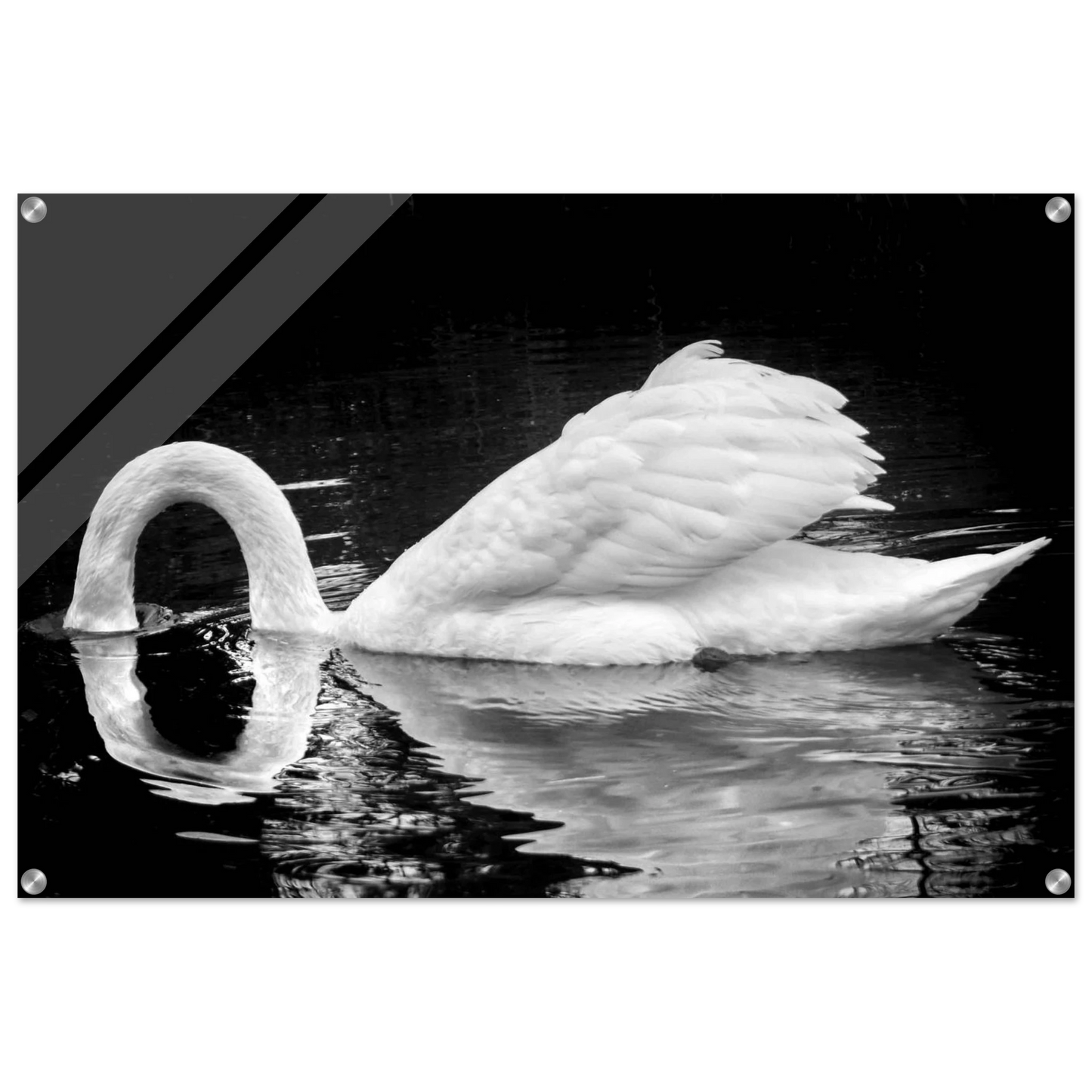 0792ce89-5f3f-4ad9-9078-40afe1b5e20b