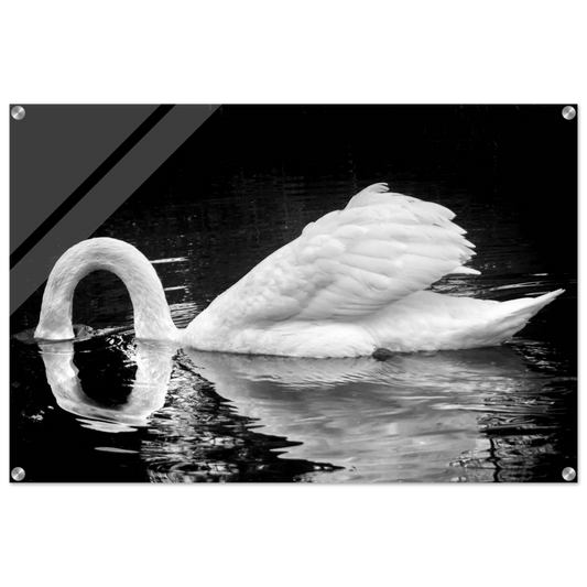 0792ce89-5f3f-4ad9-9078-40afe1b5e20b