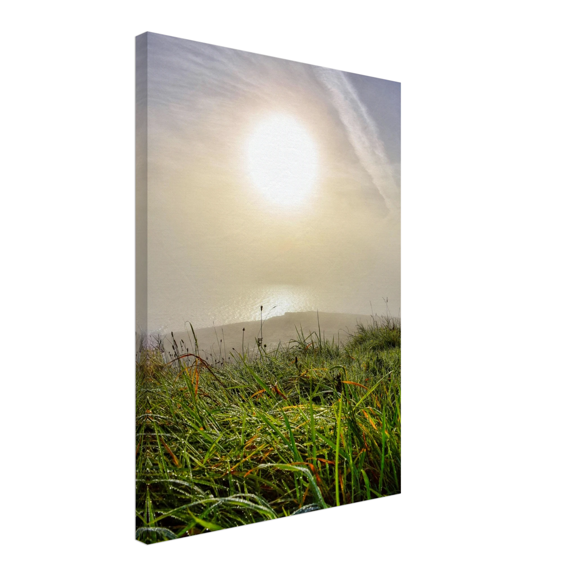 07bbb554-033c-4ab2-90bb-003dce220868