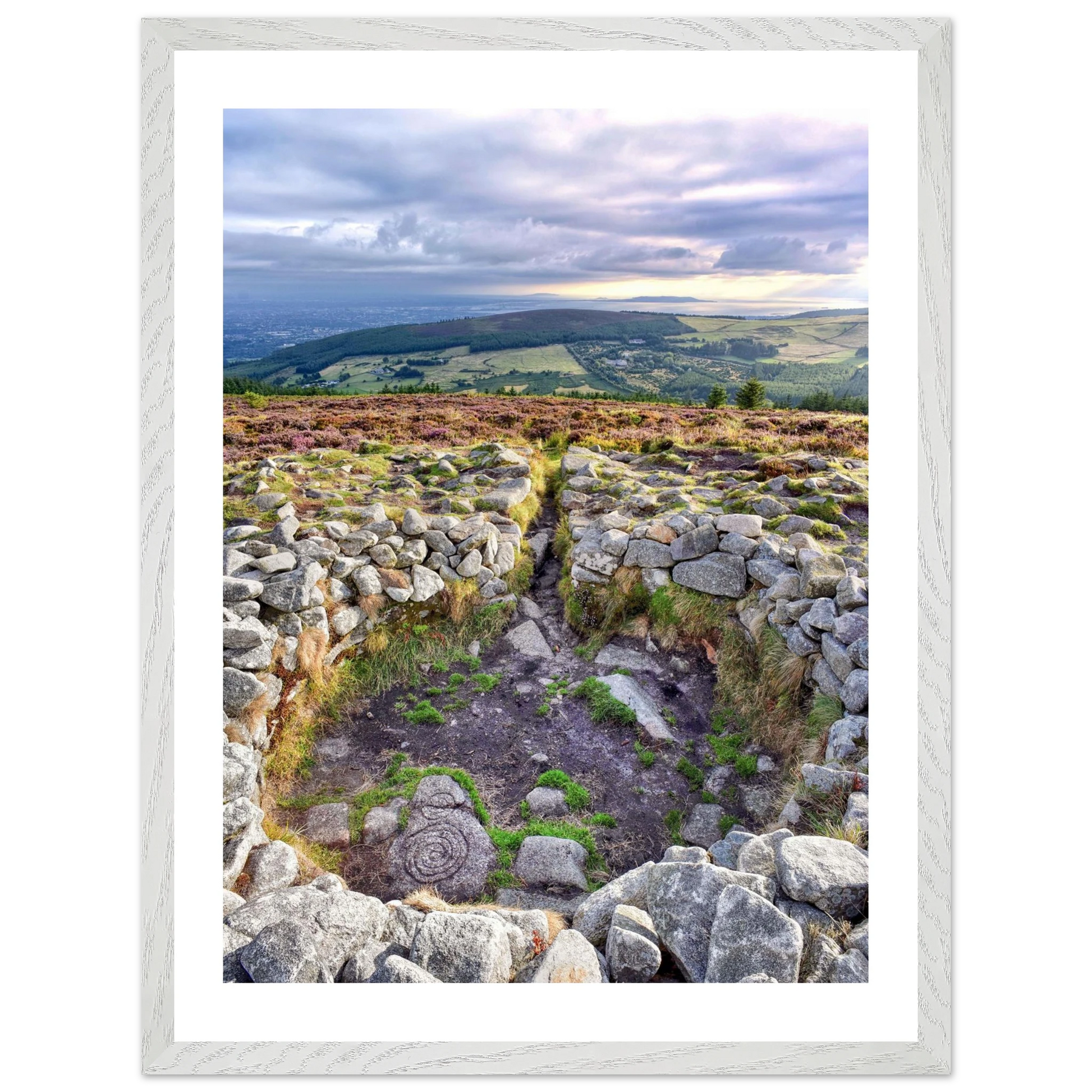 087eaae3-37fa-4473-9d8d-6e90a30260e2