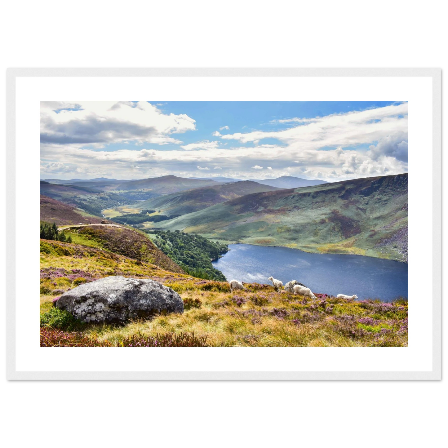 088f91e0-6eff-4bfb-88c4-4068afb97175