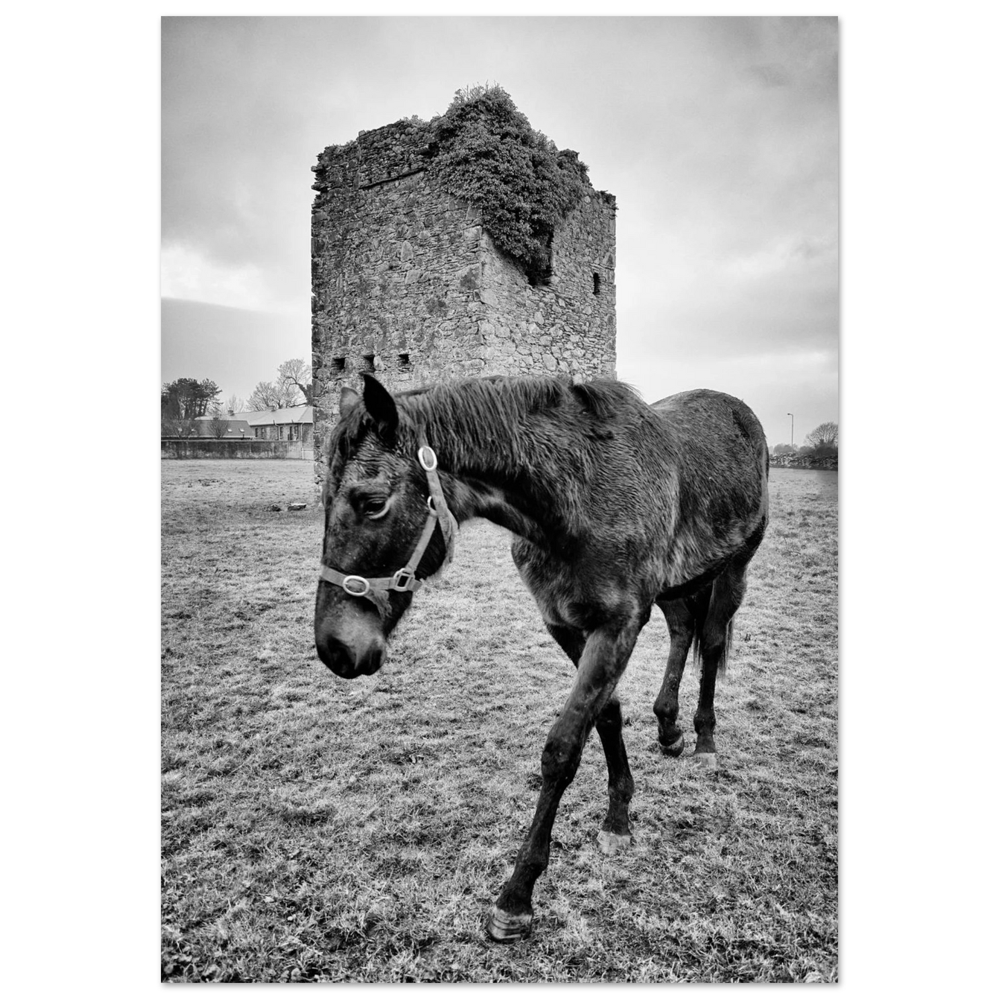 0929017b-5bb3-4a7b-887a-b27bc2eca636