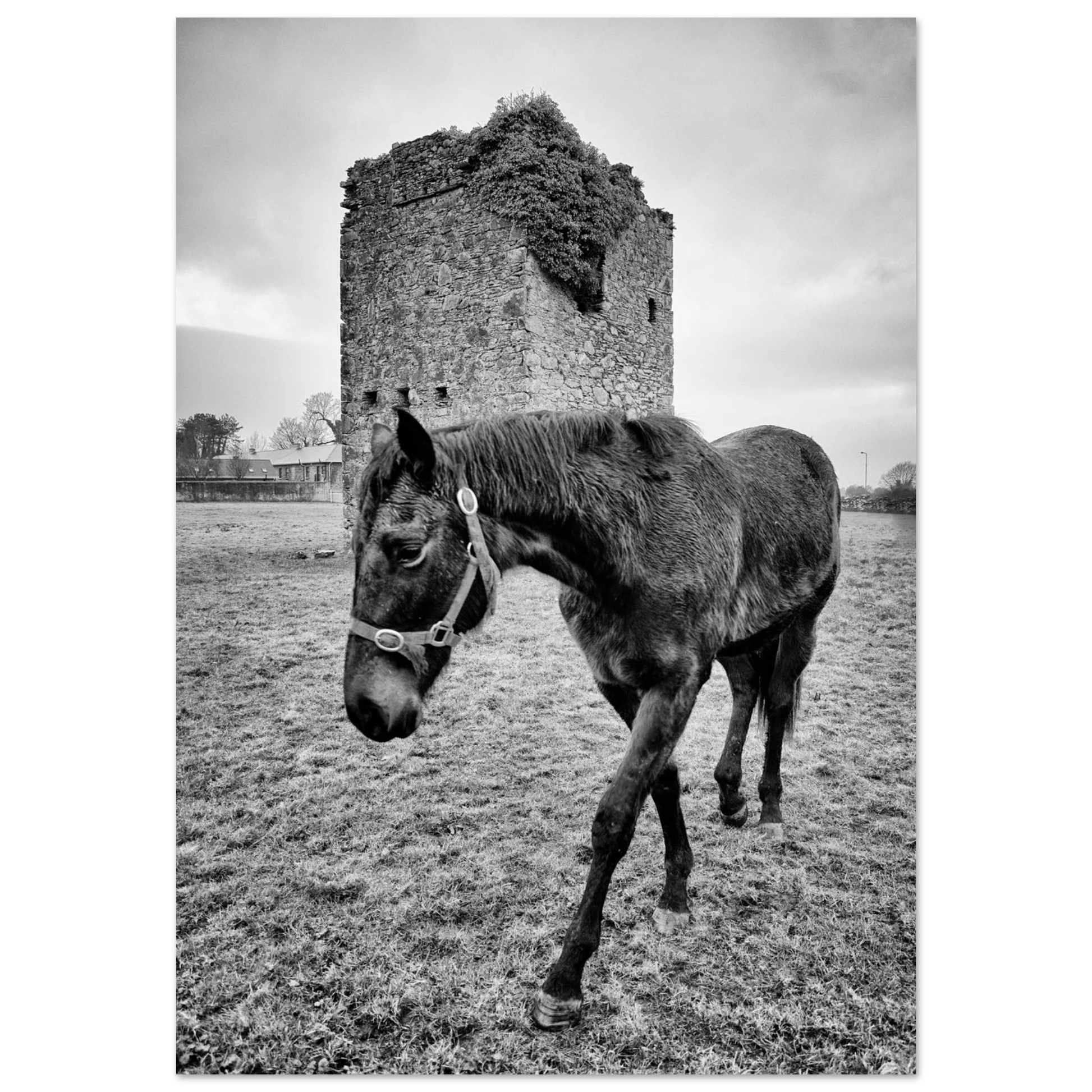 0929017b-5bb3-4a7b-887a-b27bc2eca636