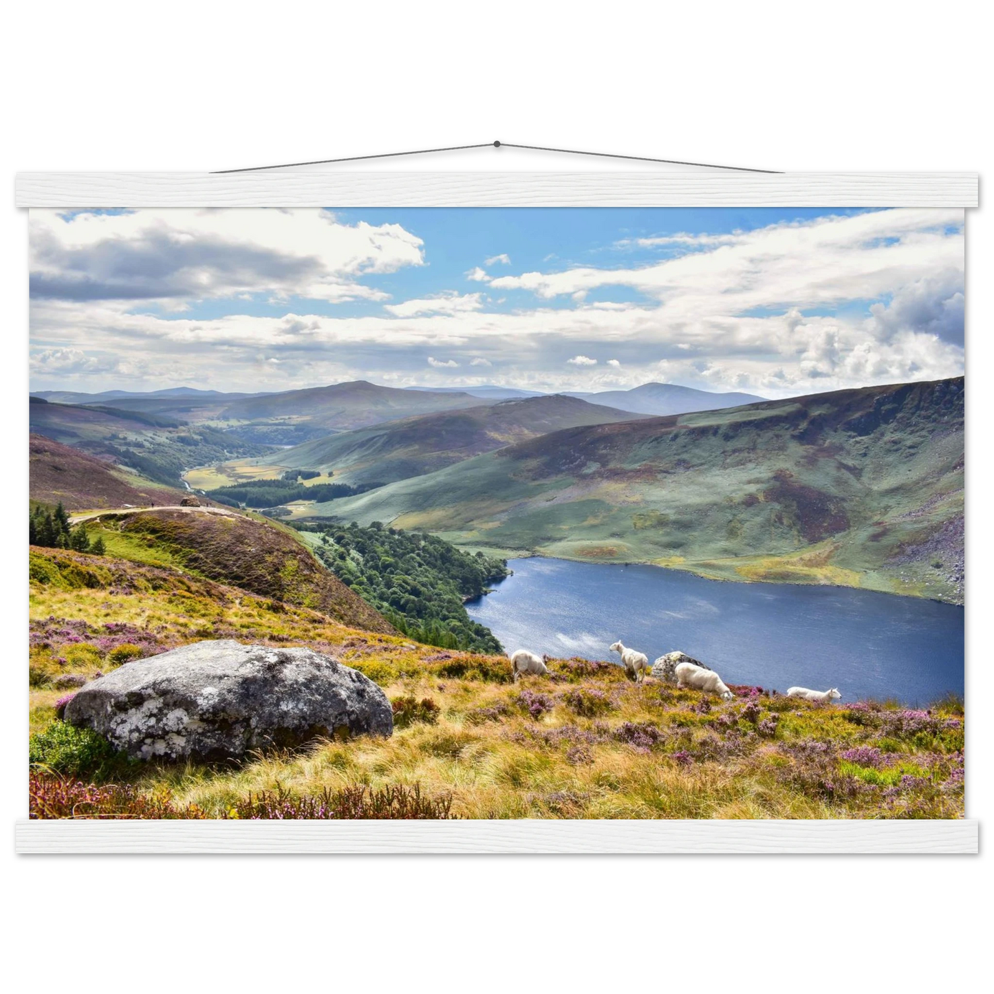 099a5aa5-2c7e-402d-840d-e5666fde2aff