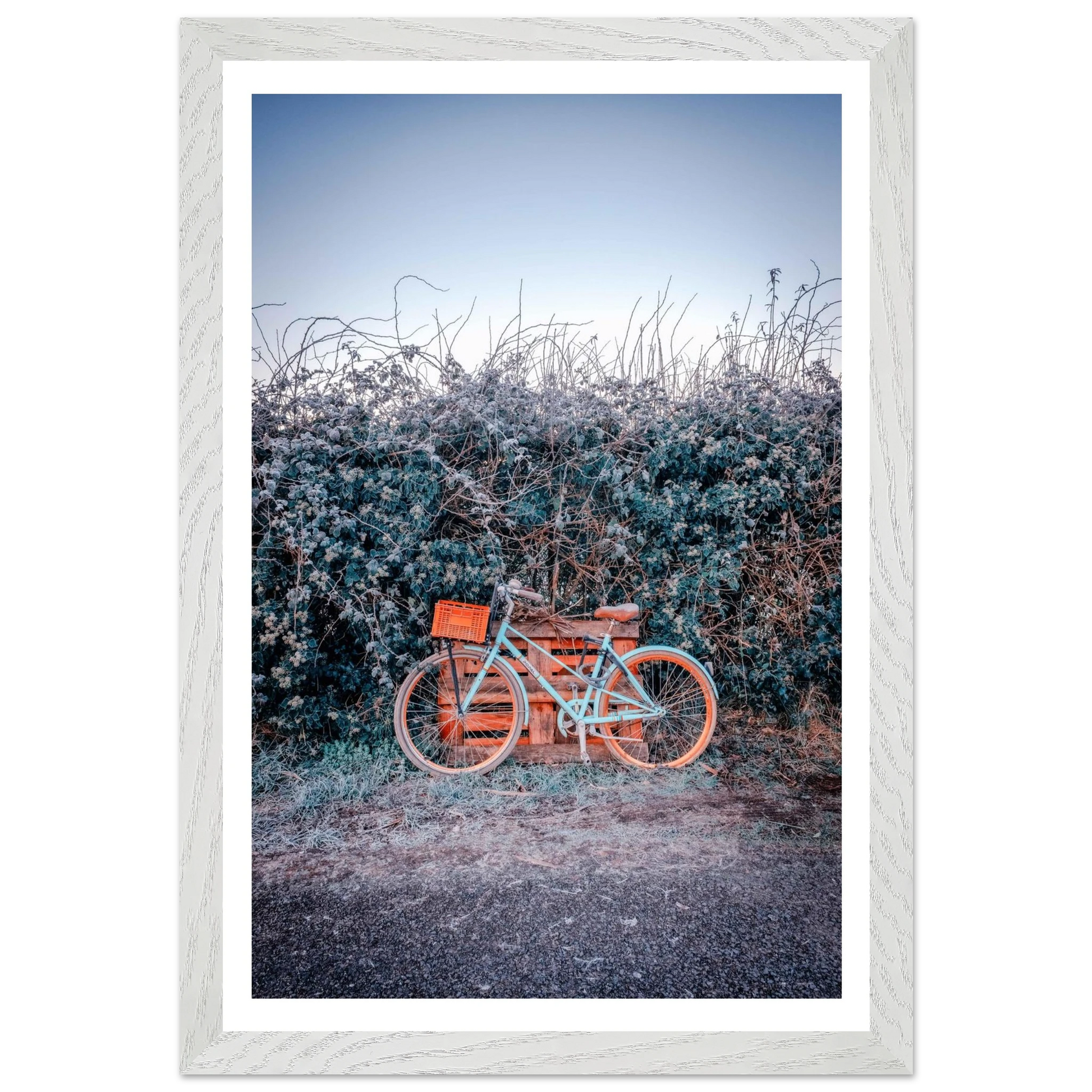 09c4fc26-feb3-4890-839a-b74fa5d30448