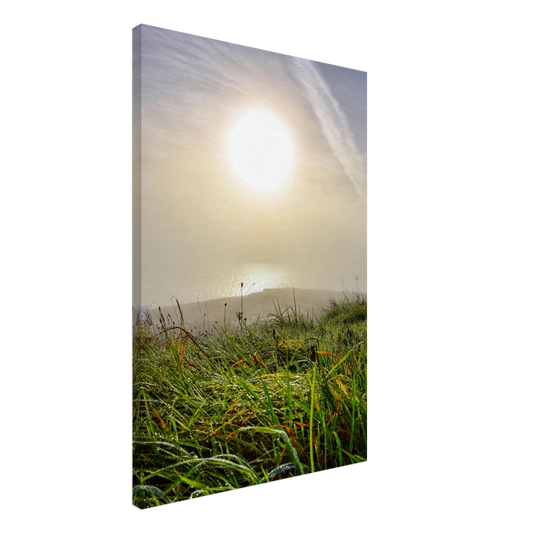 0a2cea12-31fb-416f-9368-aa3f29d6187c