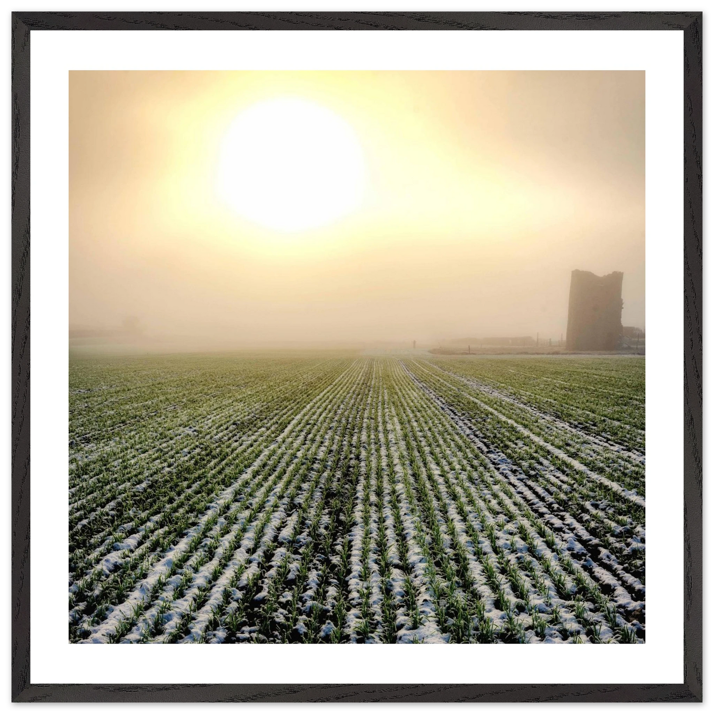 0abe17bb-c1ab-4e9f-b8f6-fd622a7a8031