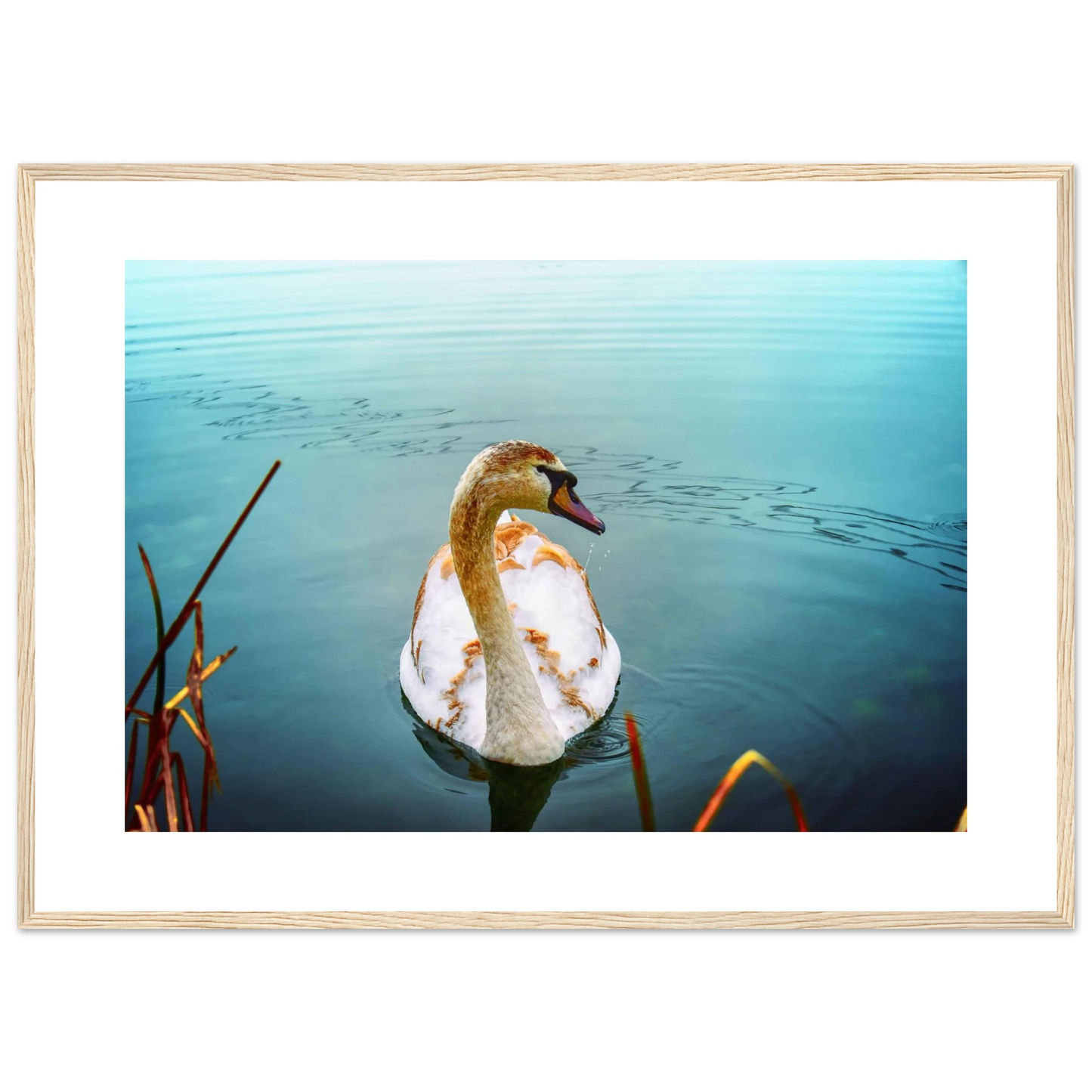 0b559c6c-ef71-4fa9-af6f-5eacad1ae59f