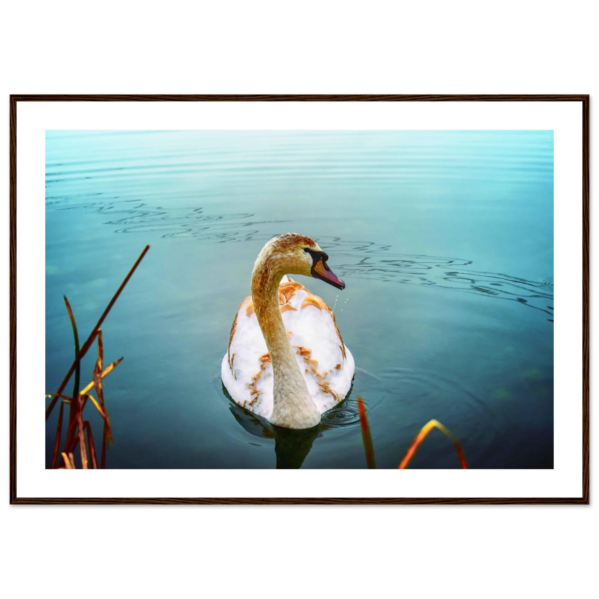 0b981212-3083-47a5-b50a-3ac1debc29e2