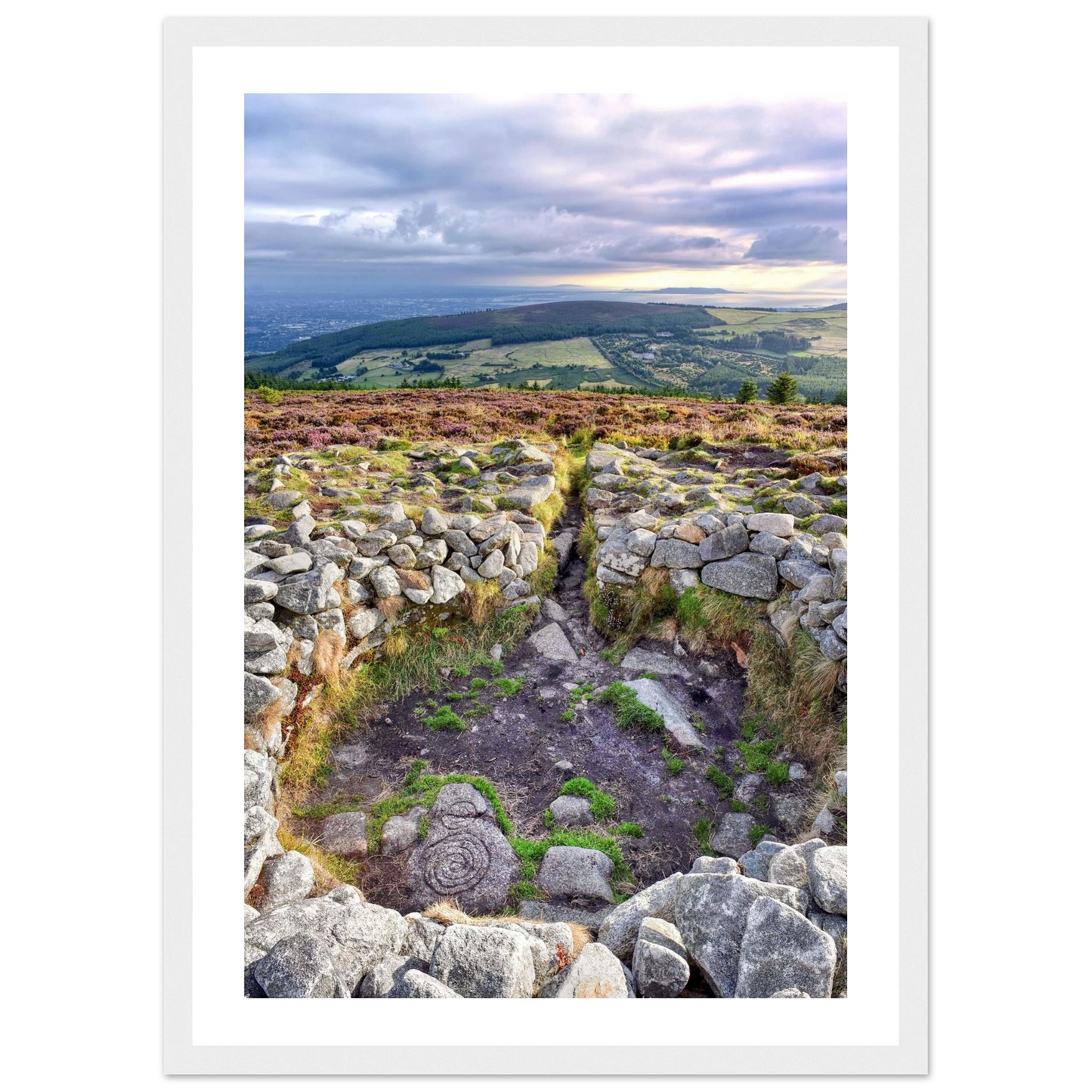 0bcdb472-354f-4f49-94a4-a270dba0edc6