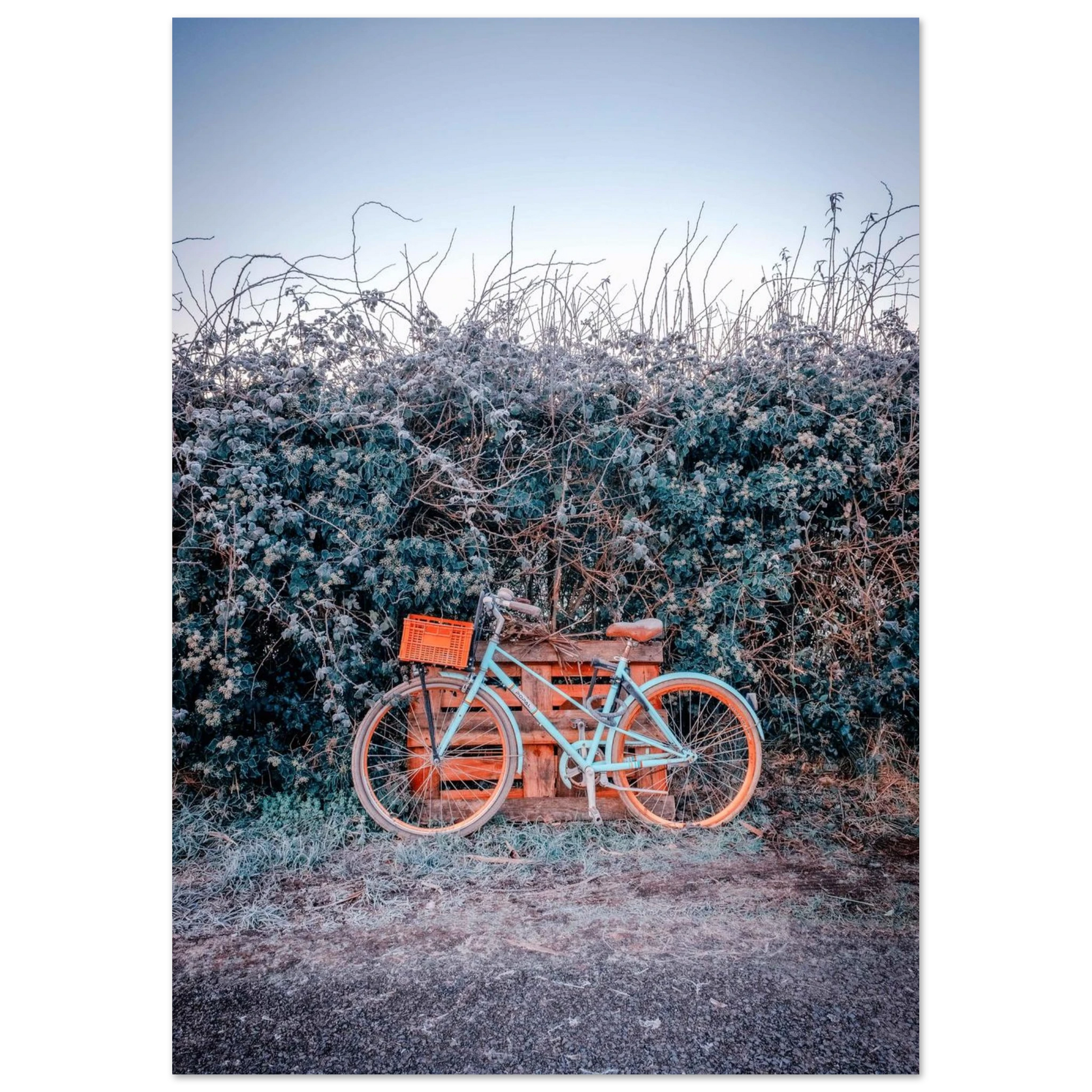 0c865e60-70ad-4efd-a719-5440e7c31878