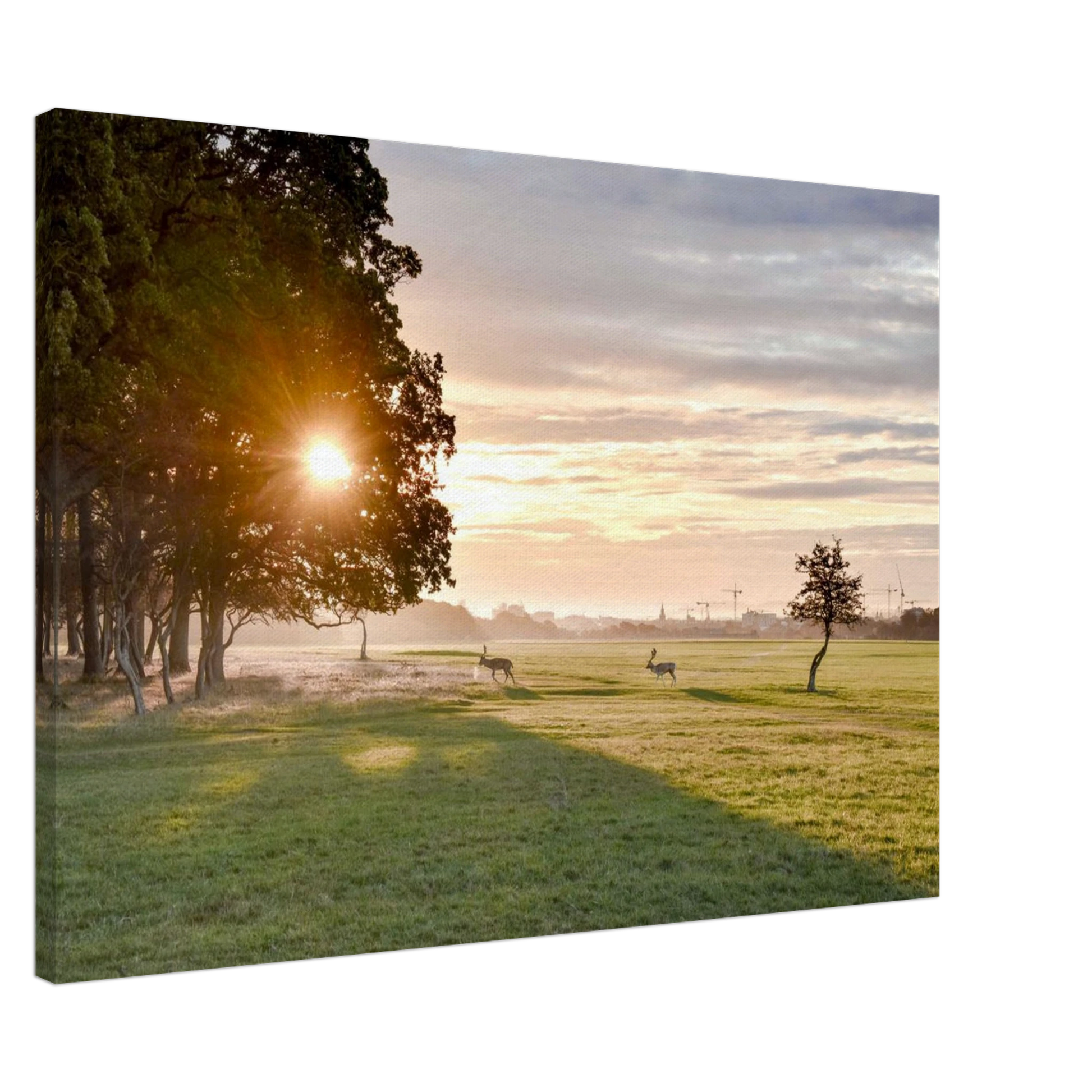 0cf20061-d5f0-473d-933f-f37c037e6c0c