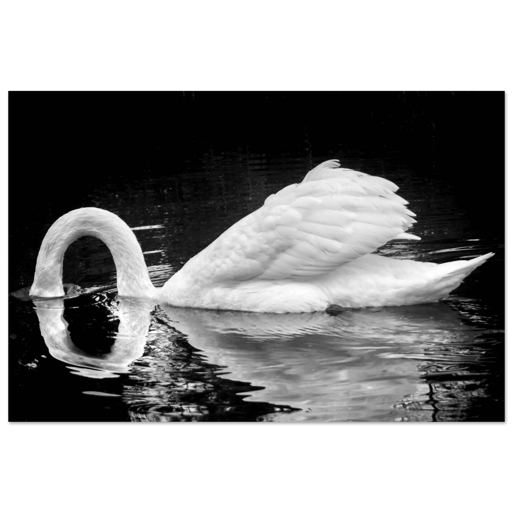 0dd28b96-86f6-48a4-b431-04af662af979