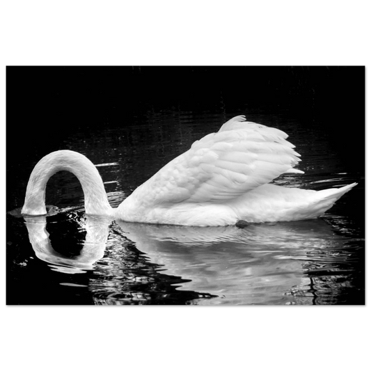 0dd28b96-86f6-48a4-b431-04af662af979