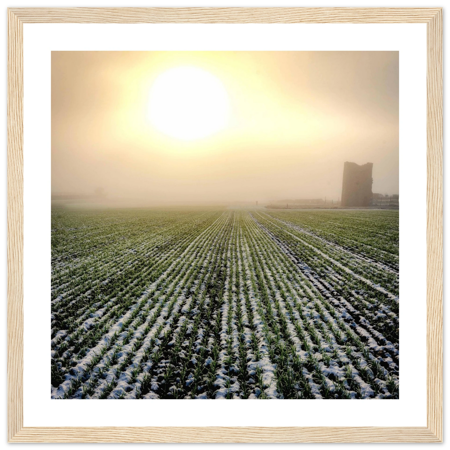 0e2bb4d8-20b6-4736-9ce9-05413976ee4d