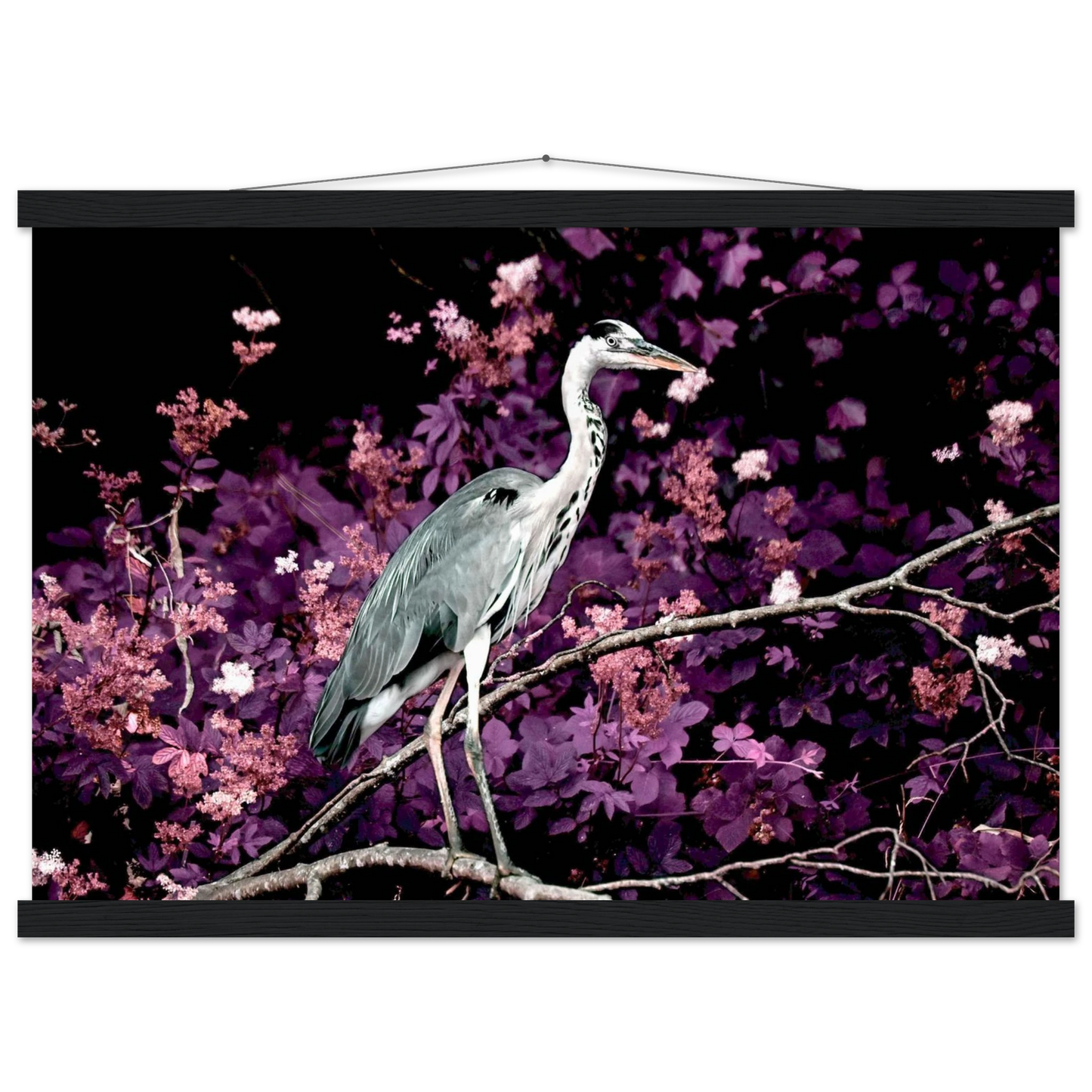 0e334ad7-5455-46a3-b386-e18f0bfc1792