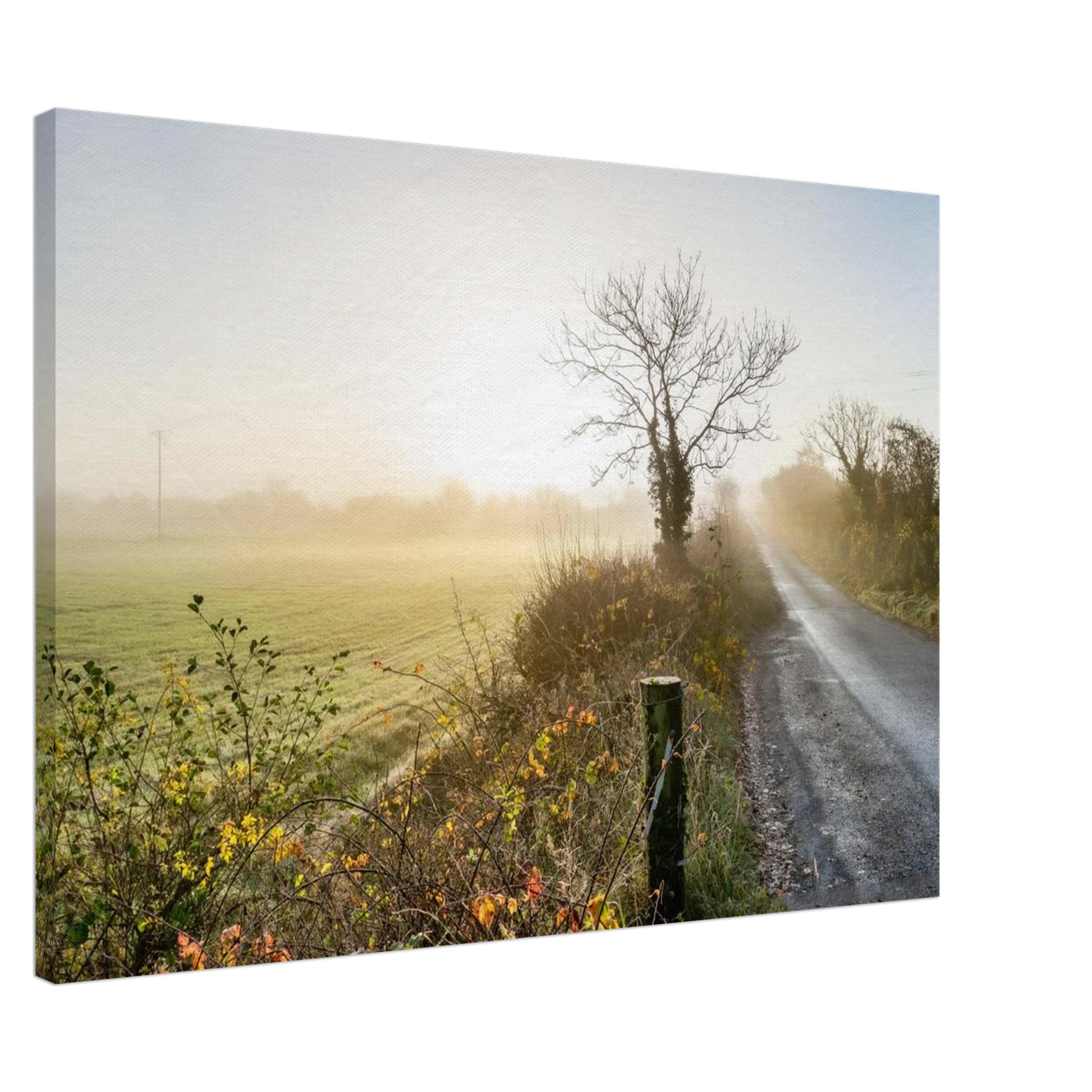 0e393142-48a9-482e-8a1c-c77ec149f416