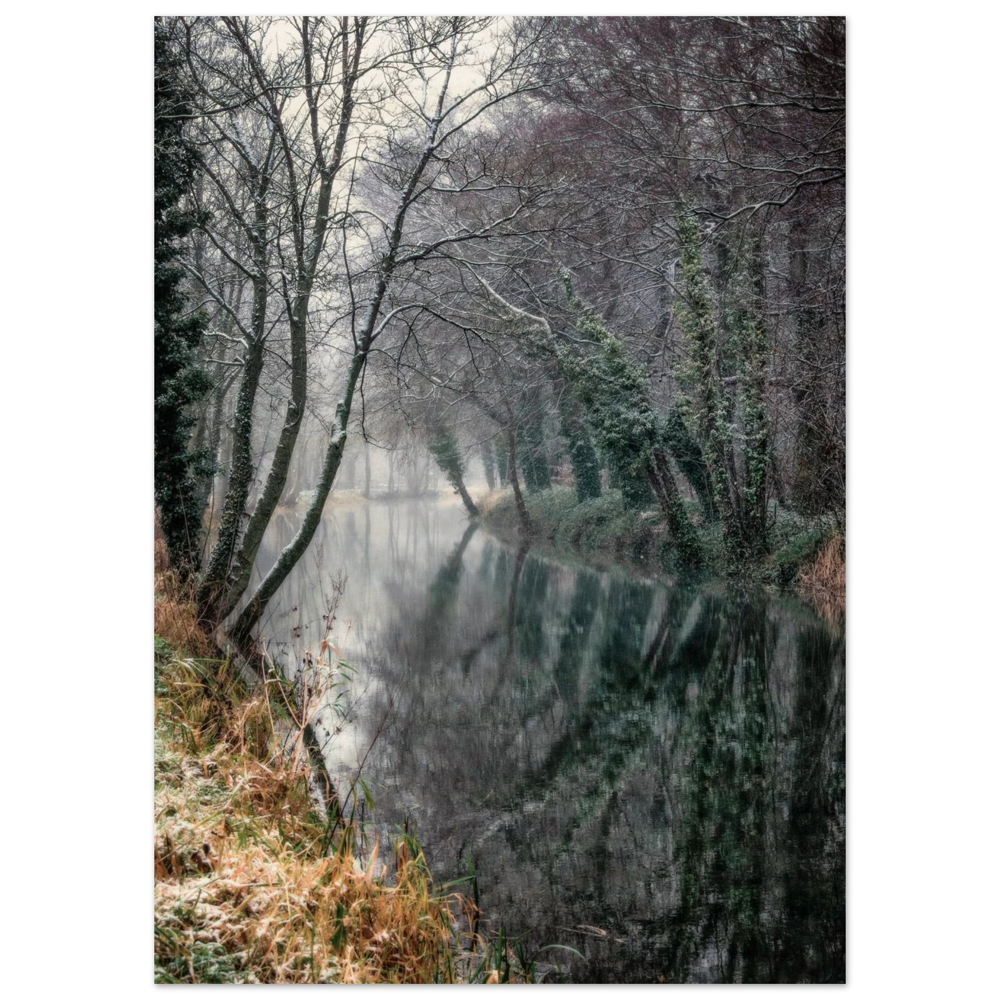 0e539efd-dd5a-4edb-8be5-7351624b0107