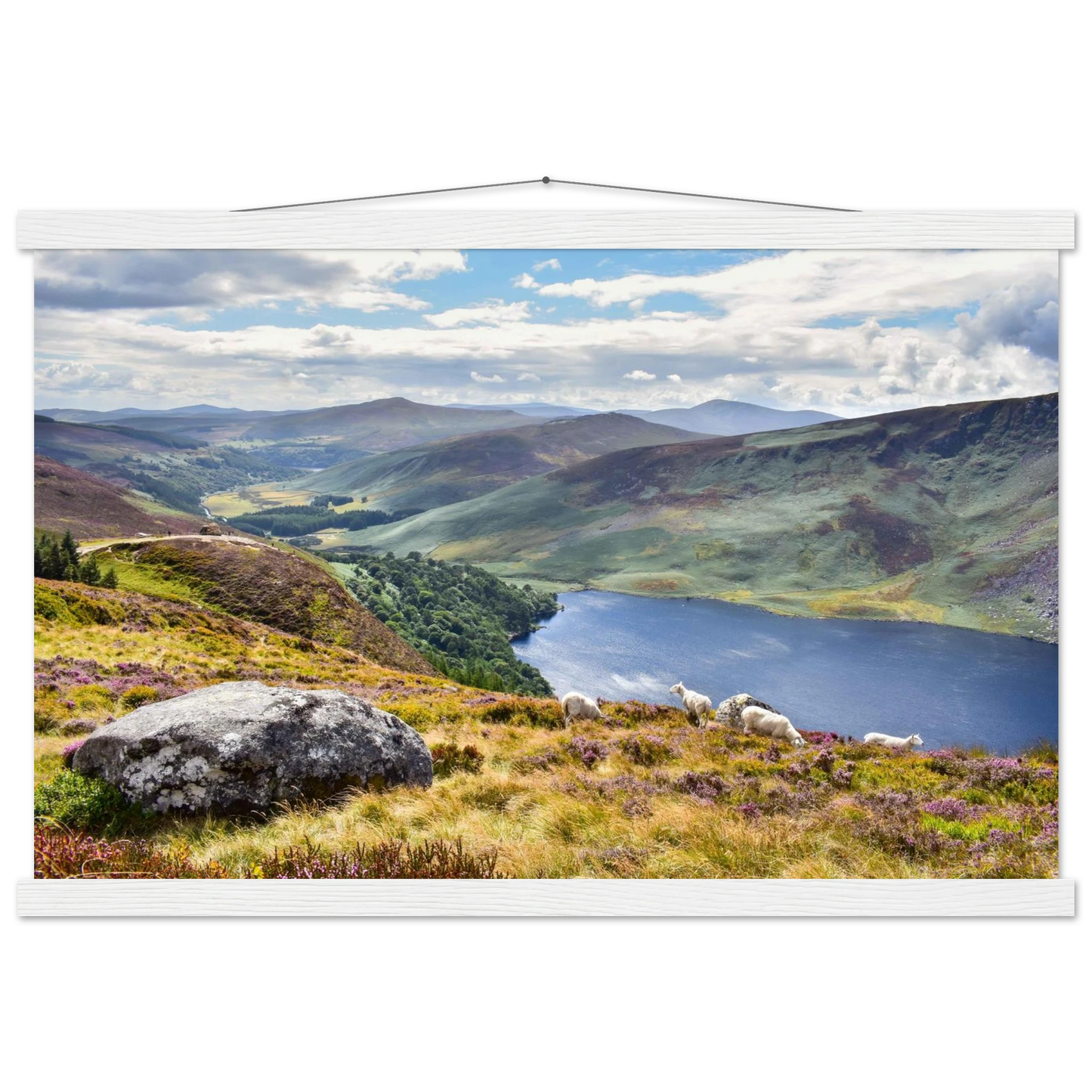 0e75d88e-f245-4d23-b41f-d15d1580bf58