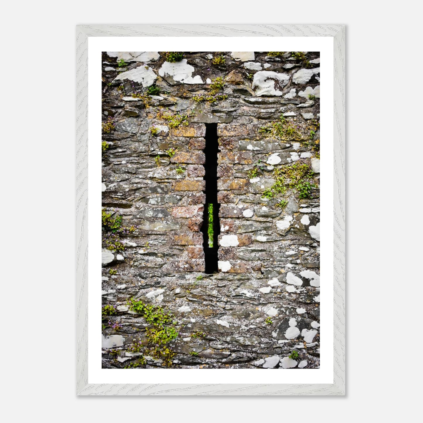 0e89fa07-611b-4db4-b9fe-d4a2746c102a