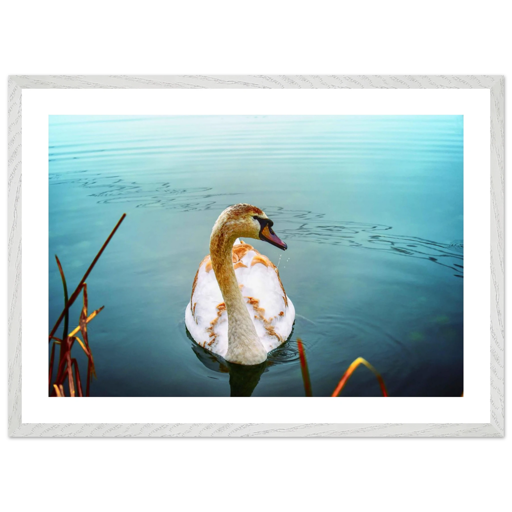 0f0af079-5467-4bea-ba54-1b99b62c28fd